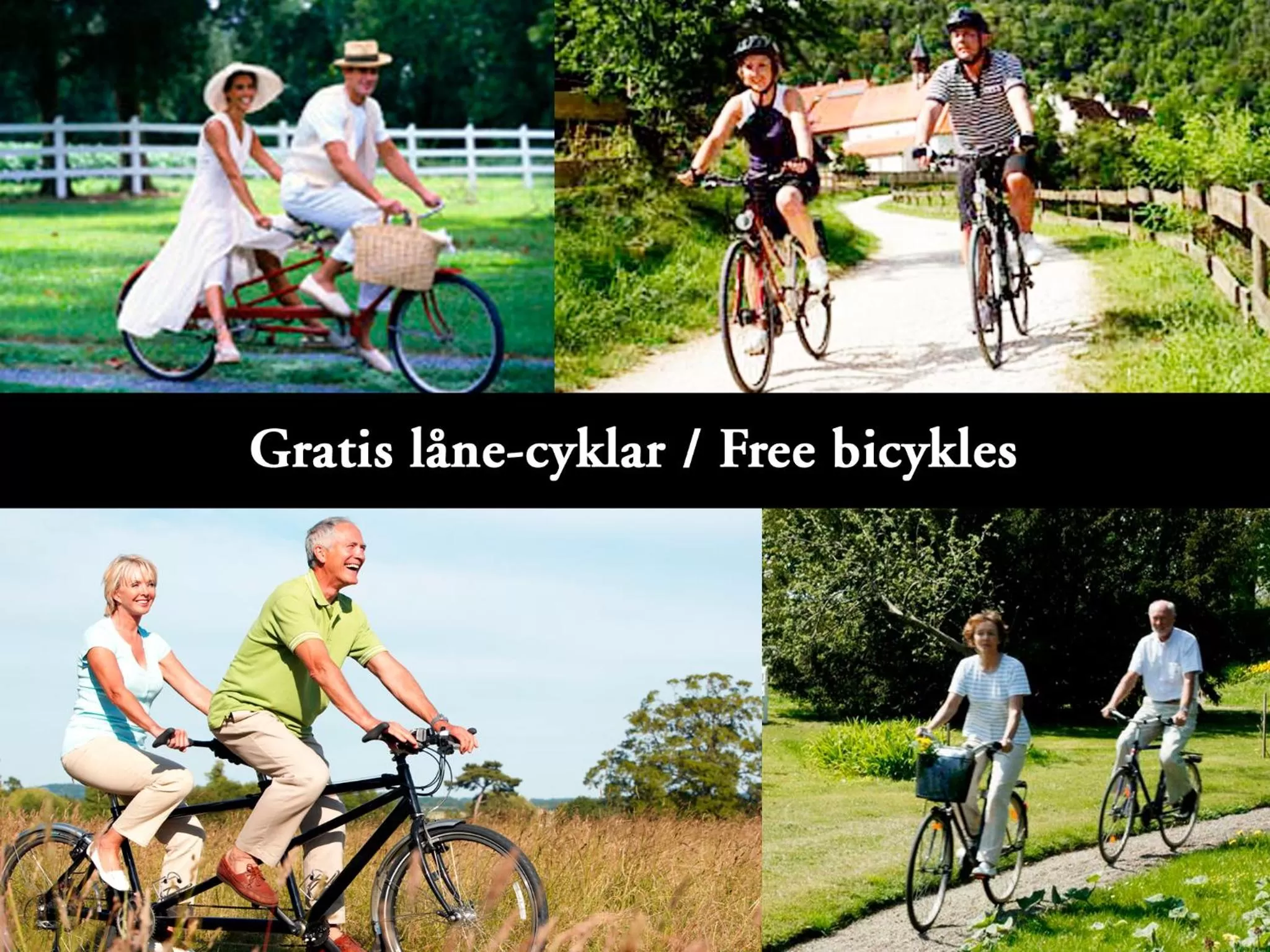 Area and facilities, Horseback Riding in Kullabygdens Bed & Breakfast