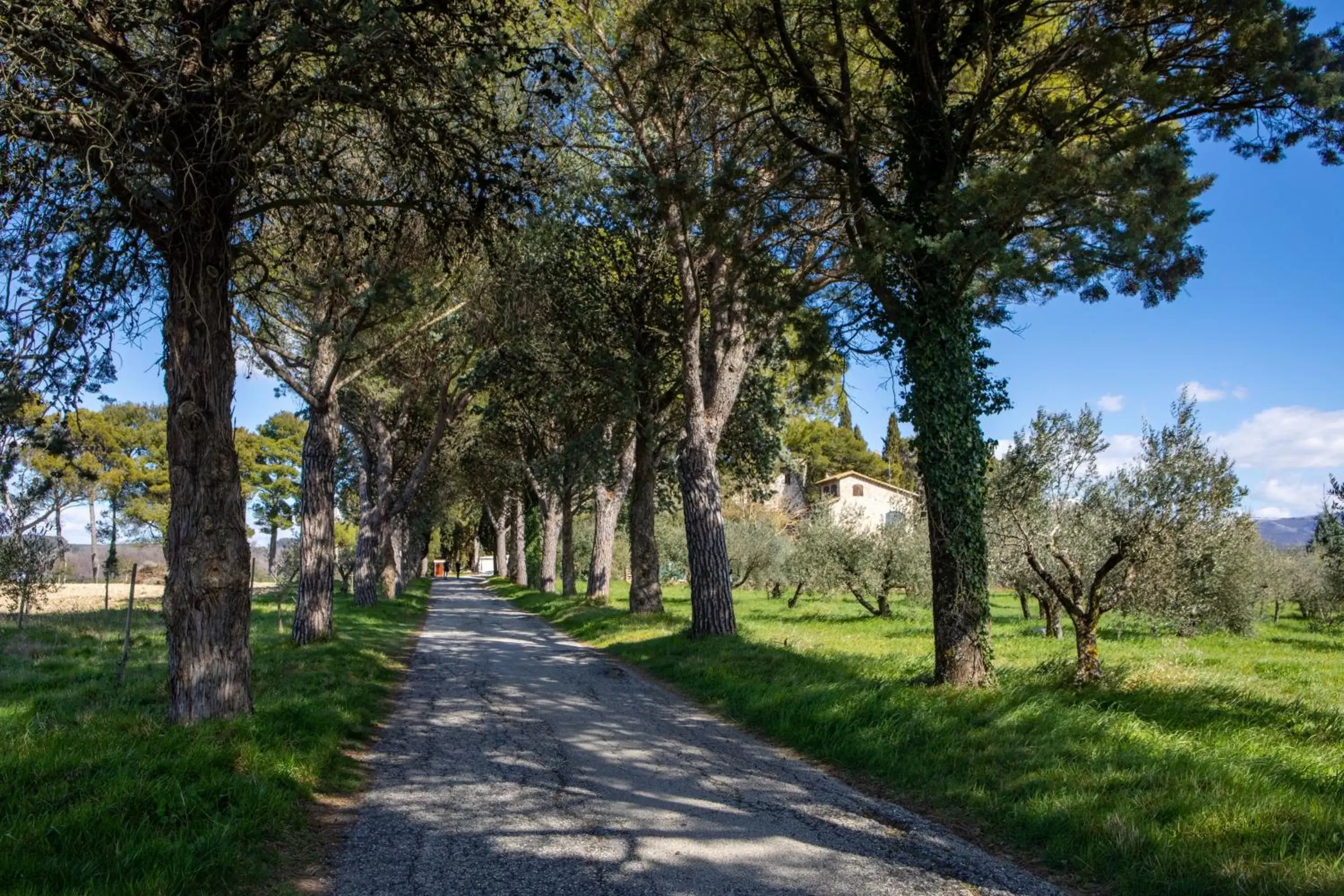 Natural landscape in Borgo Petroro