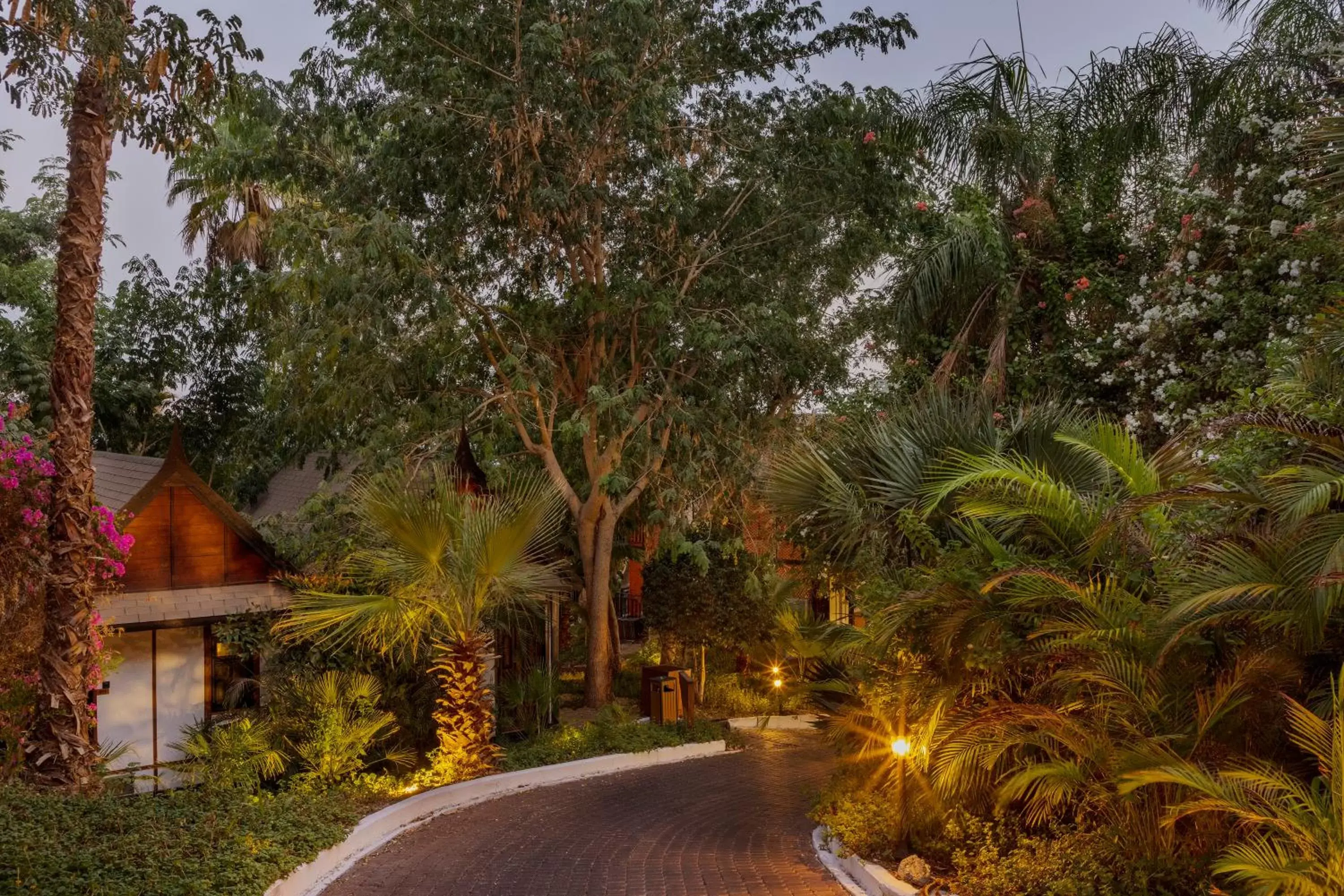 Natural landscape in Herbert Samuel Royal Shangri-La Eilat