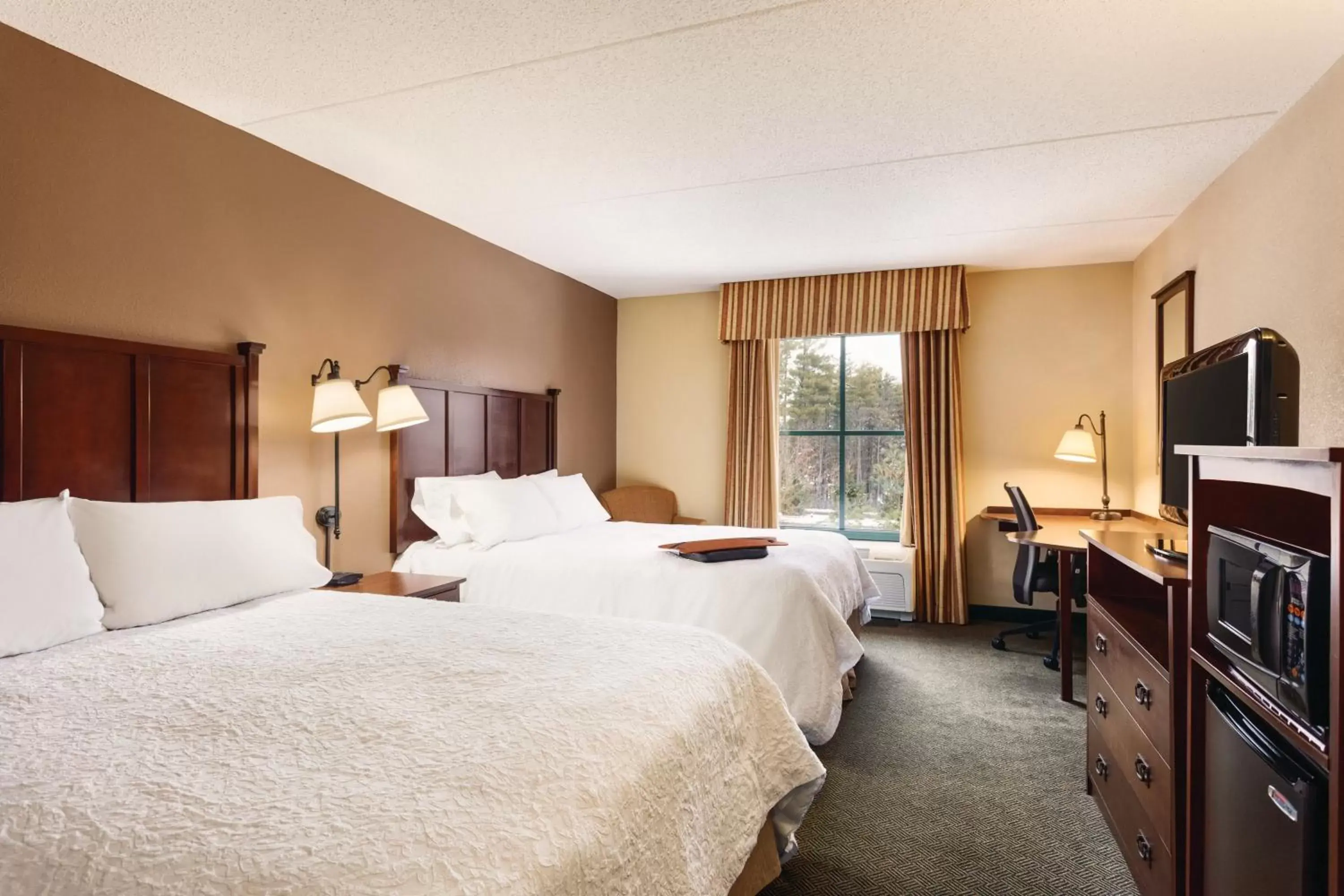 Hampton Inn & Suites Lake George