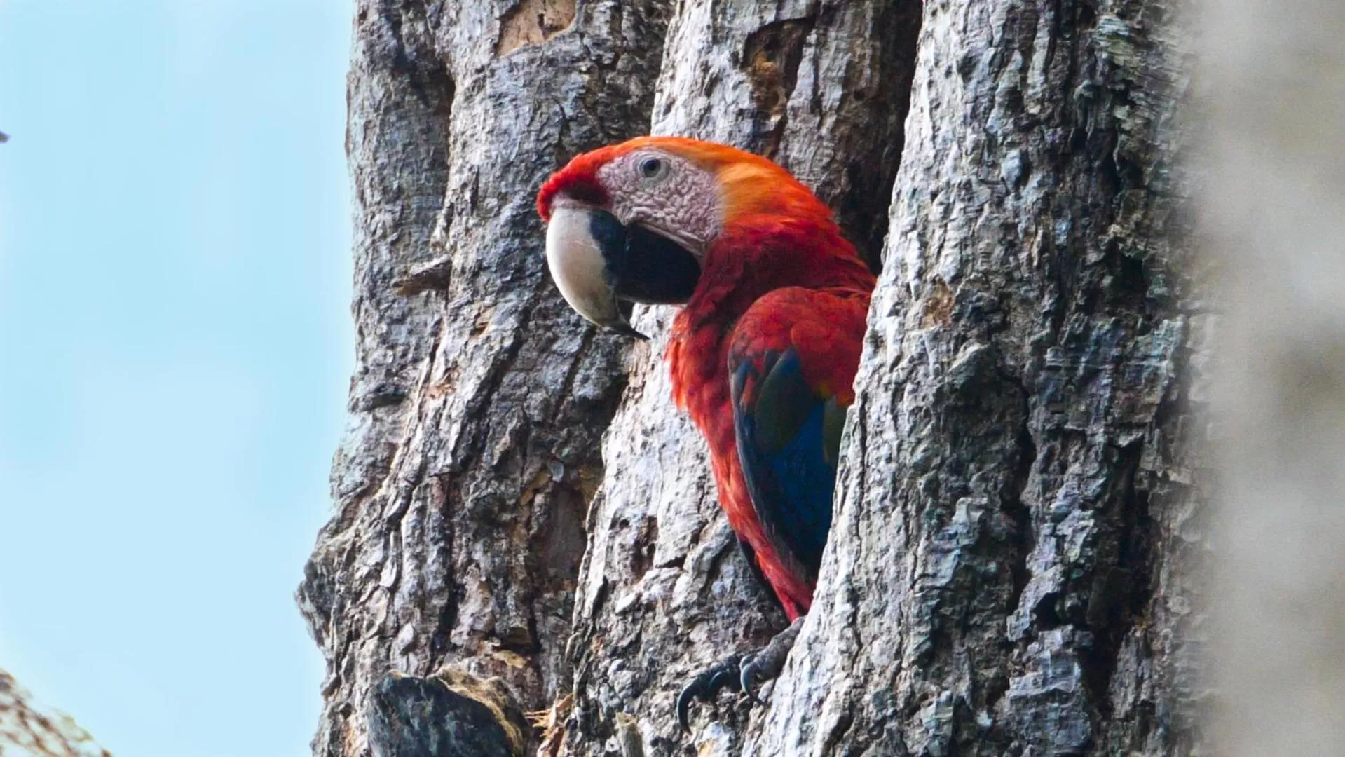 Natural landscape in Hotel Punta Leona