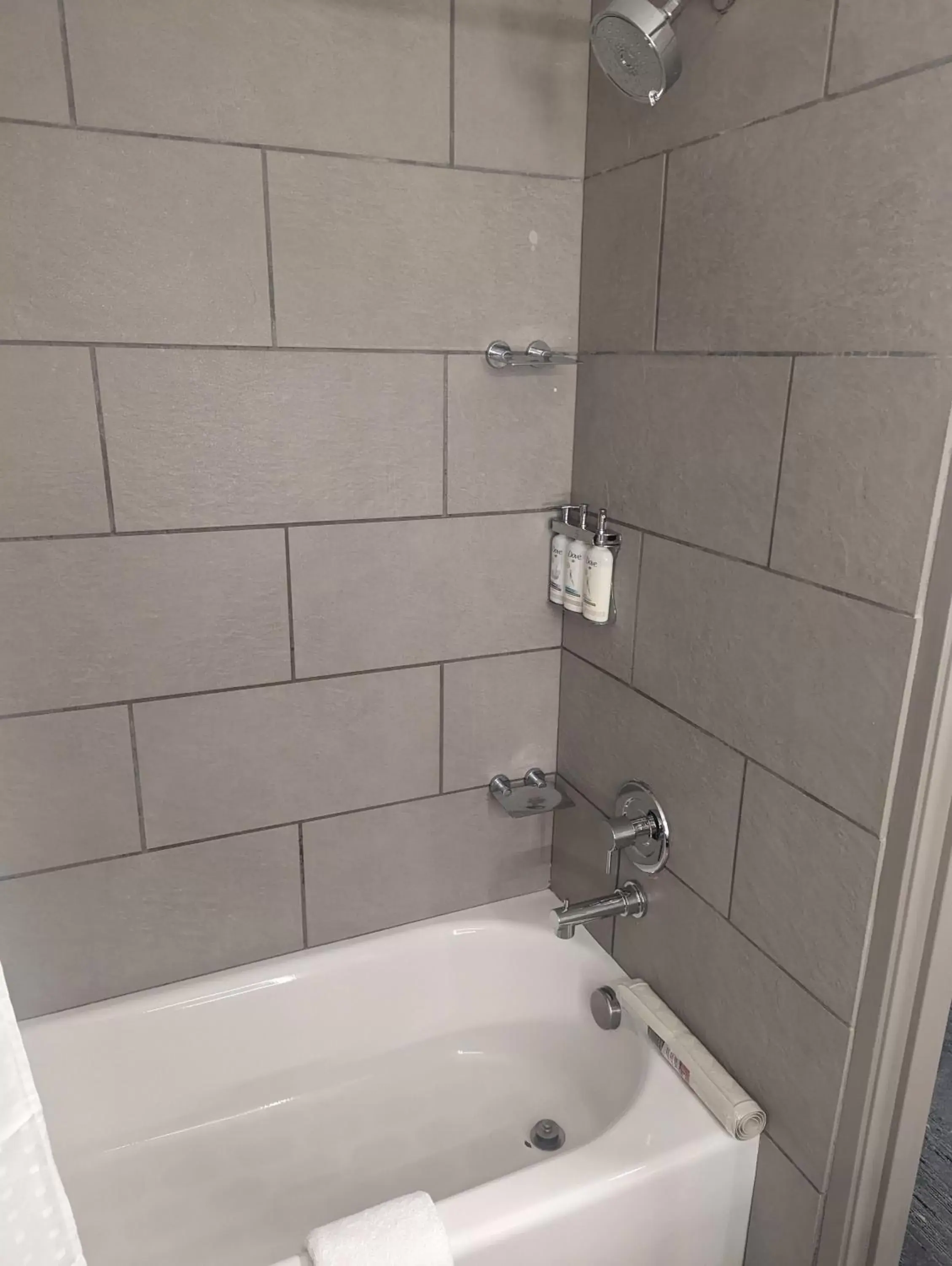 Bathroom in Holiday Inn Express & Suites Salt Lake City N - Bountiful