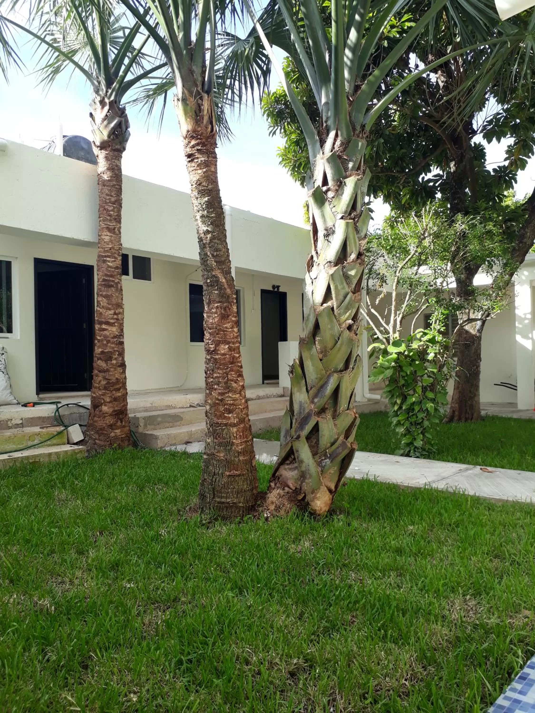 Property Building in Bea rooms and studios