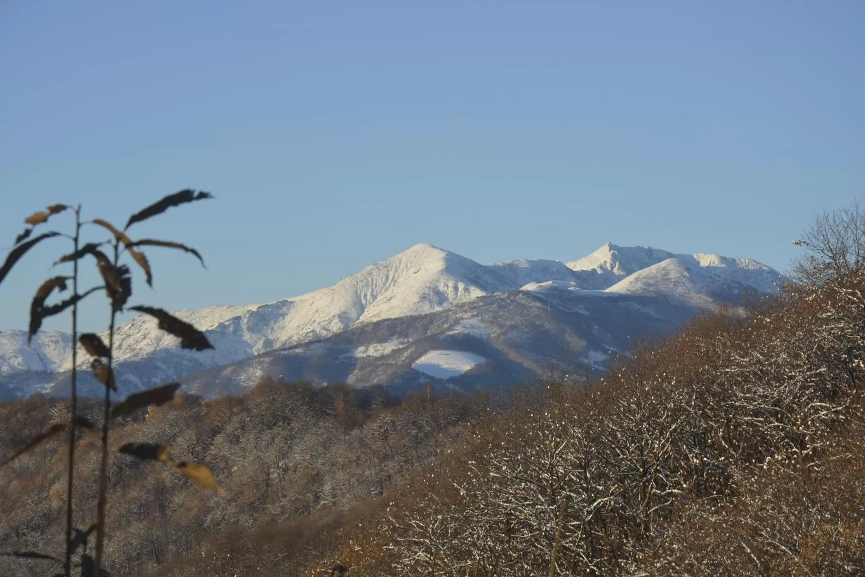 Mountain View in Casa Omnia B&B