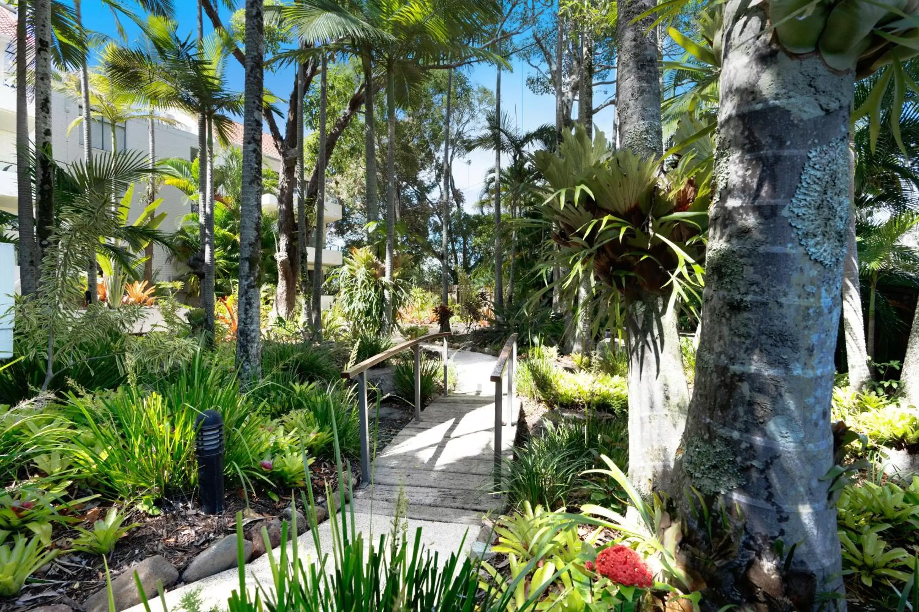 Garden in Noosa International Resort