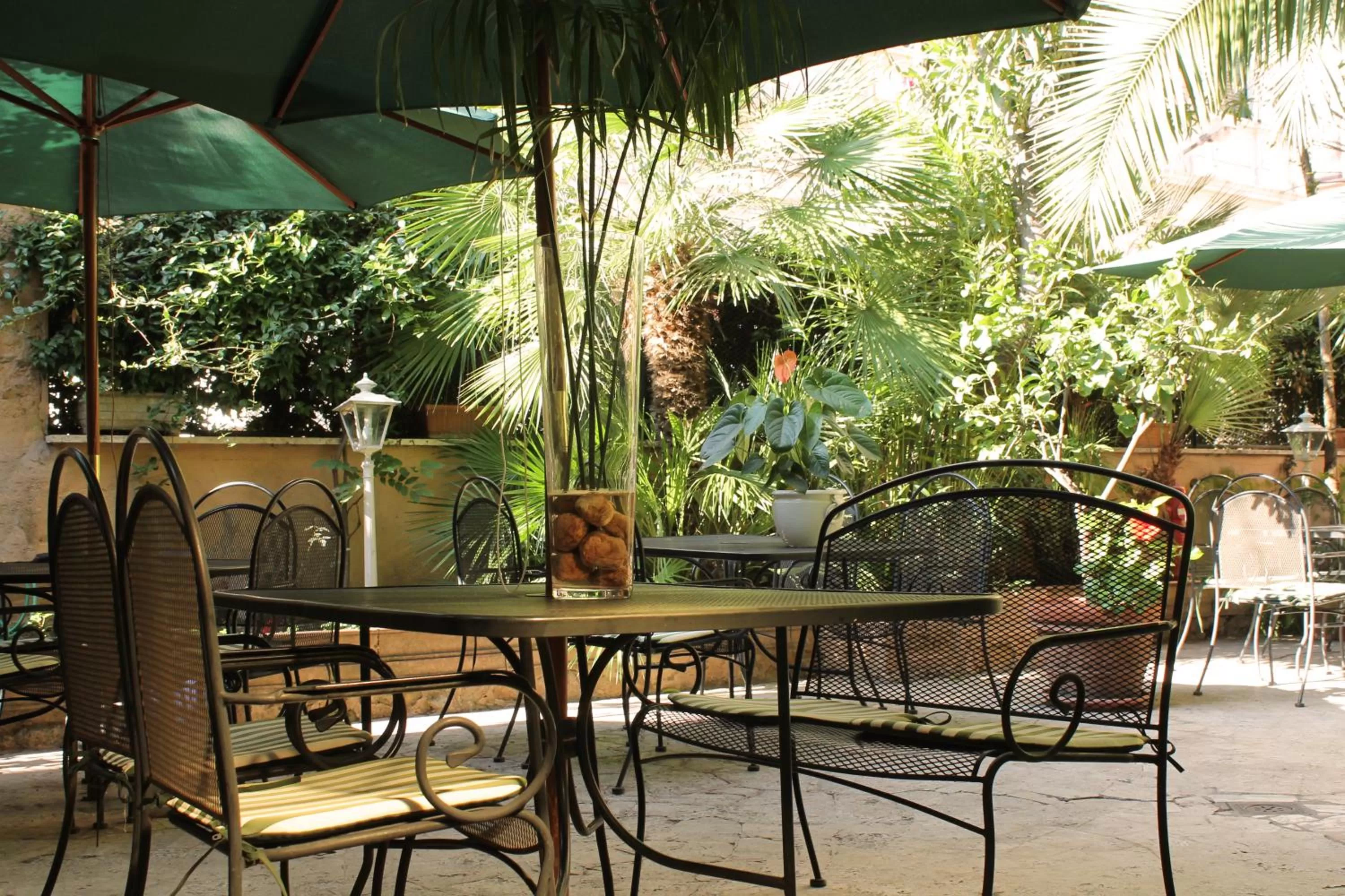 Garden in Hotel Villa Delle Rose