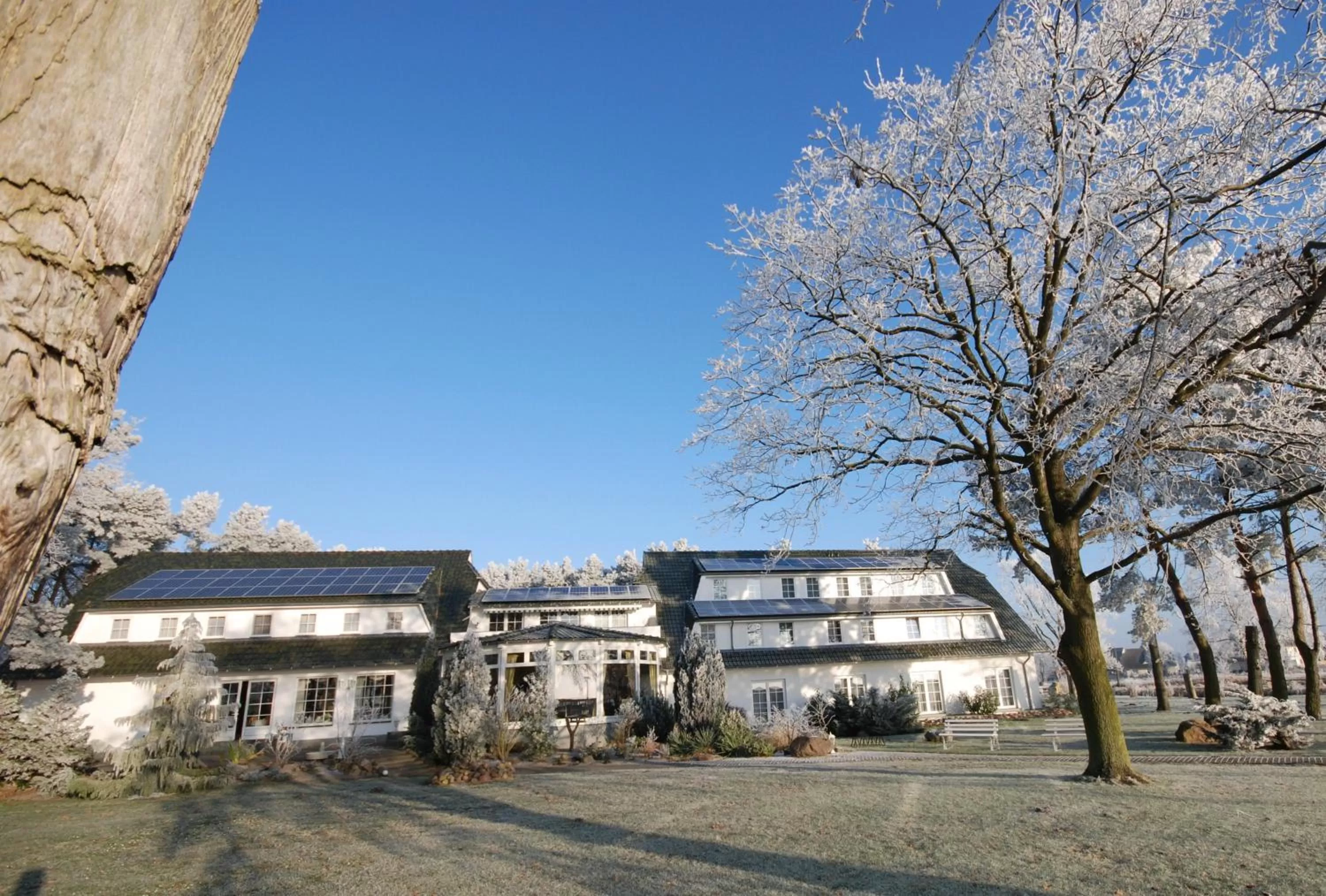 Facade/entrance in Hotel-Marks-Garni