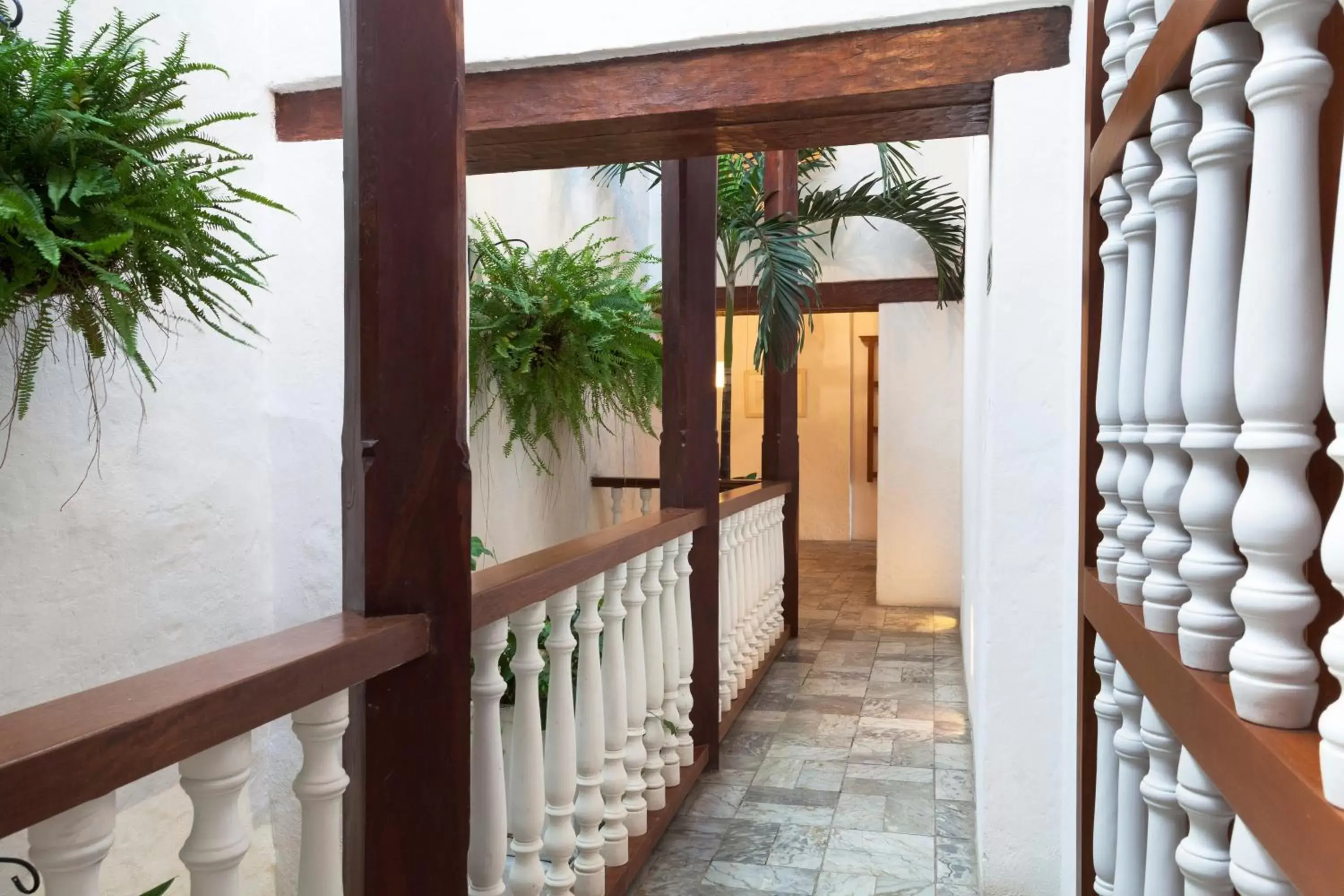 Garden view, Balcony/Terrace in Hotel Boutique Casa del Coliseo