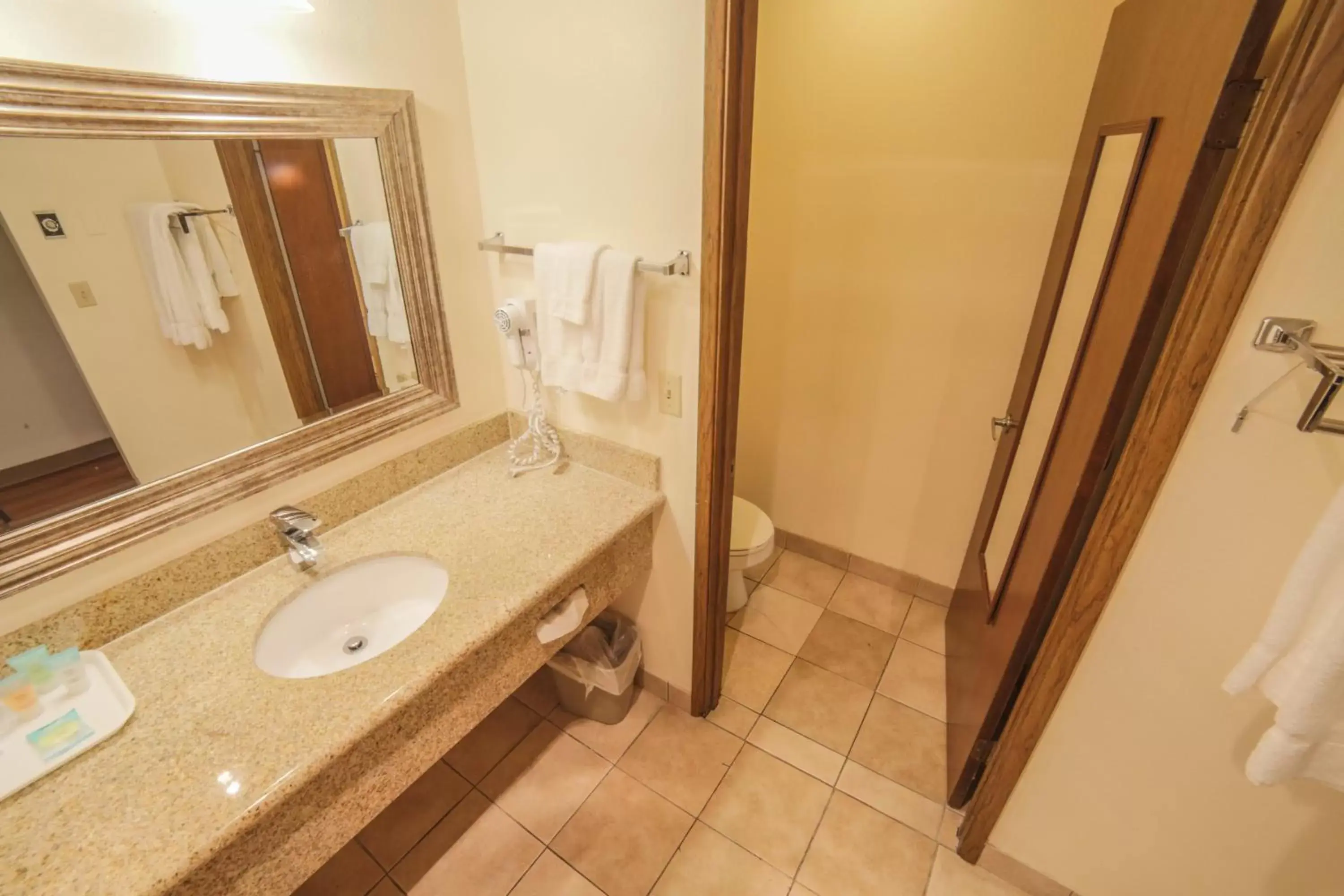 Bathroom in Sunnyside Inn and Suites