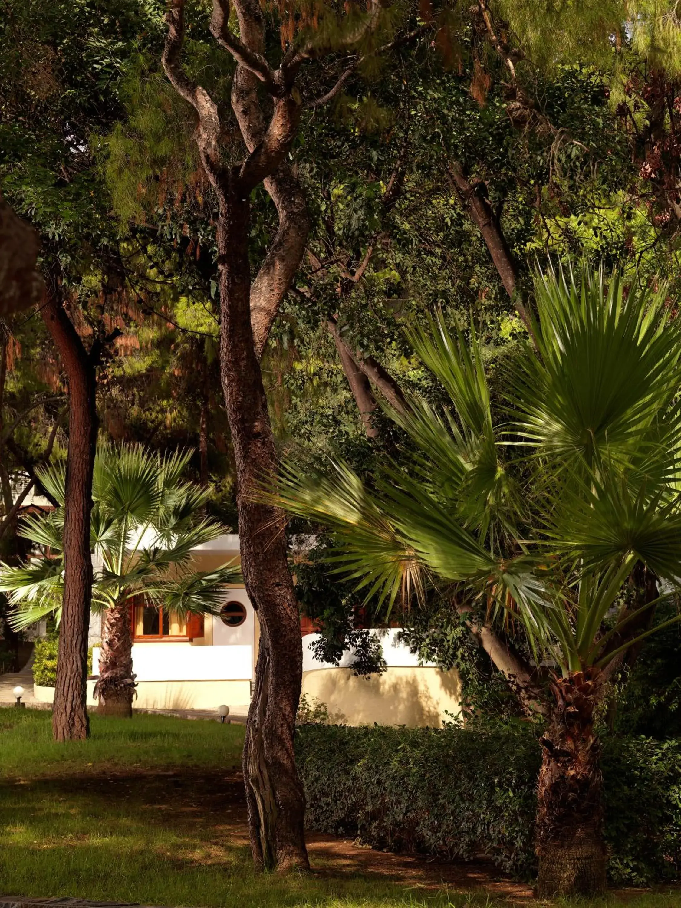 Garden in Wyndham Loutraki Poseidon Resort