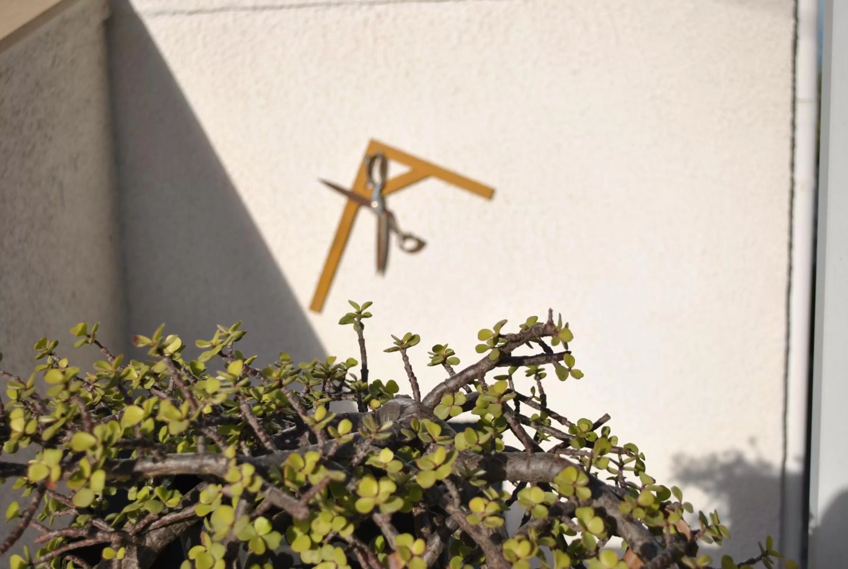 Le Dimore Del Sarto Polignano a mare