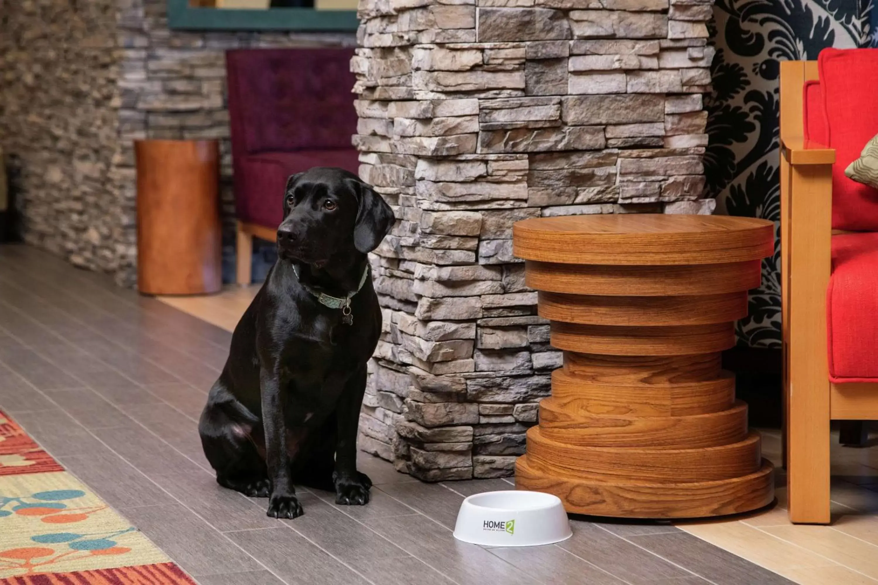 Lobby or reception in Home2 Suites by Hilton Anchorage/Midtown Lobby or reception in Home2 Suites by Hilton Anchorage/Midtown