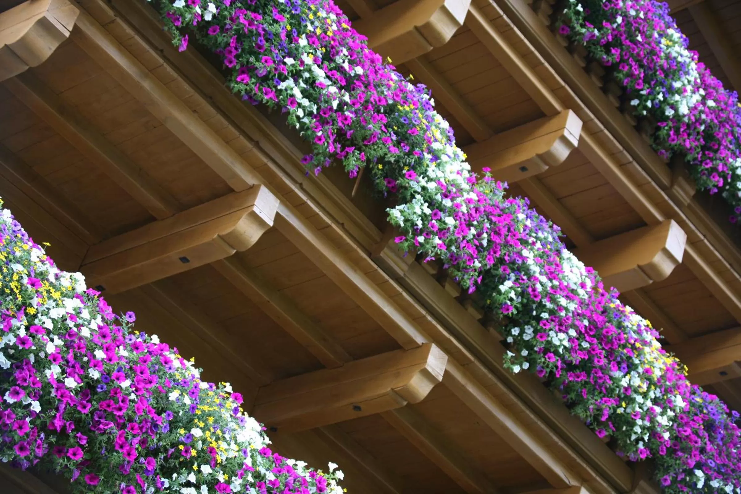 Facade/entrance in Alpenhotel Tirolerhof