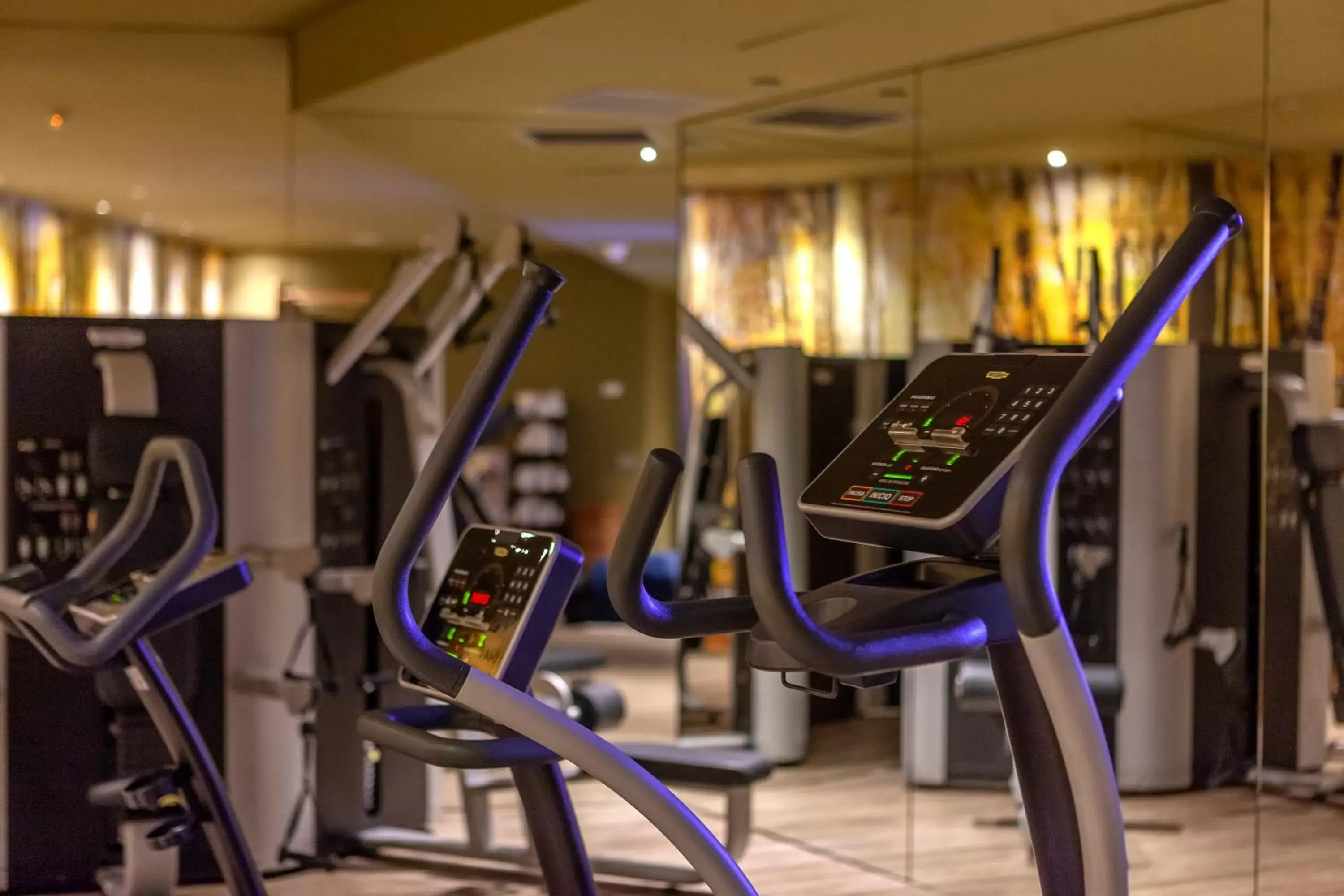 Fitness centre/facilities in Hotel SB Plaza Europa Fitness centre/facilities in Hotel SB Plaza Europa