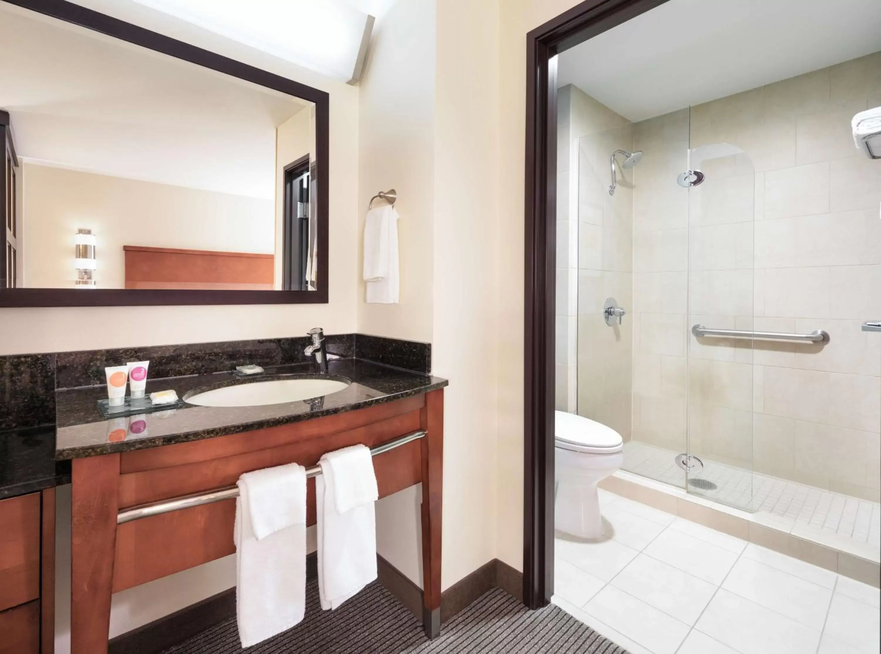 Bathroom in Hyatt Place South Bend/Mishawaka Bathroom in Hyatt Place South Bend/Mishawaka