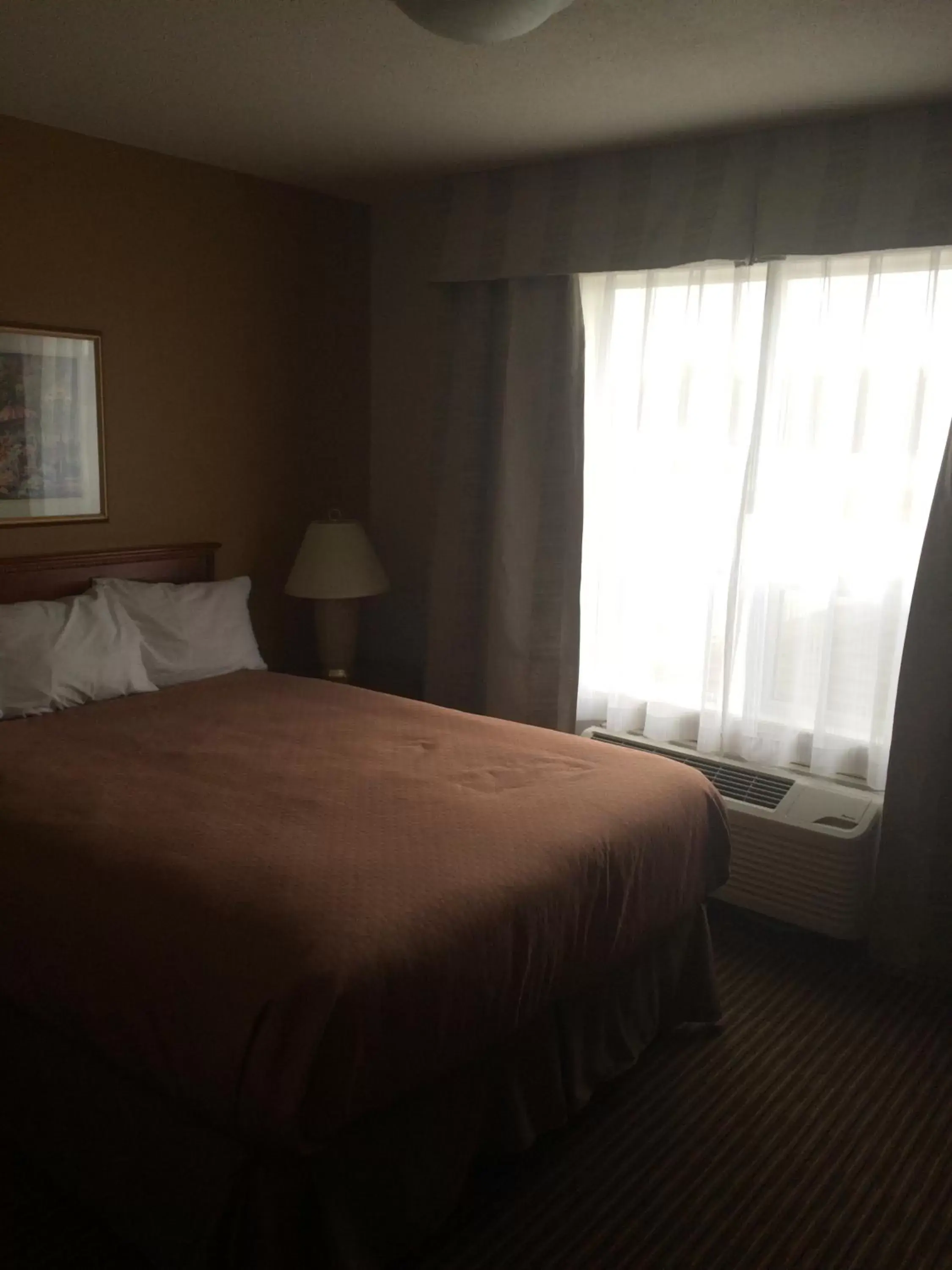 Photo of the whole room, Bed in Foxwood Inn and Suites