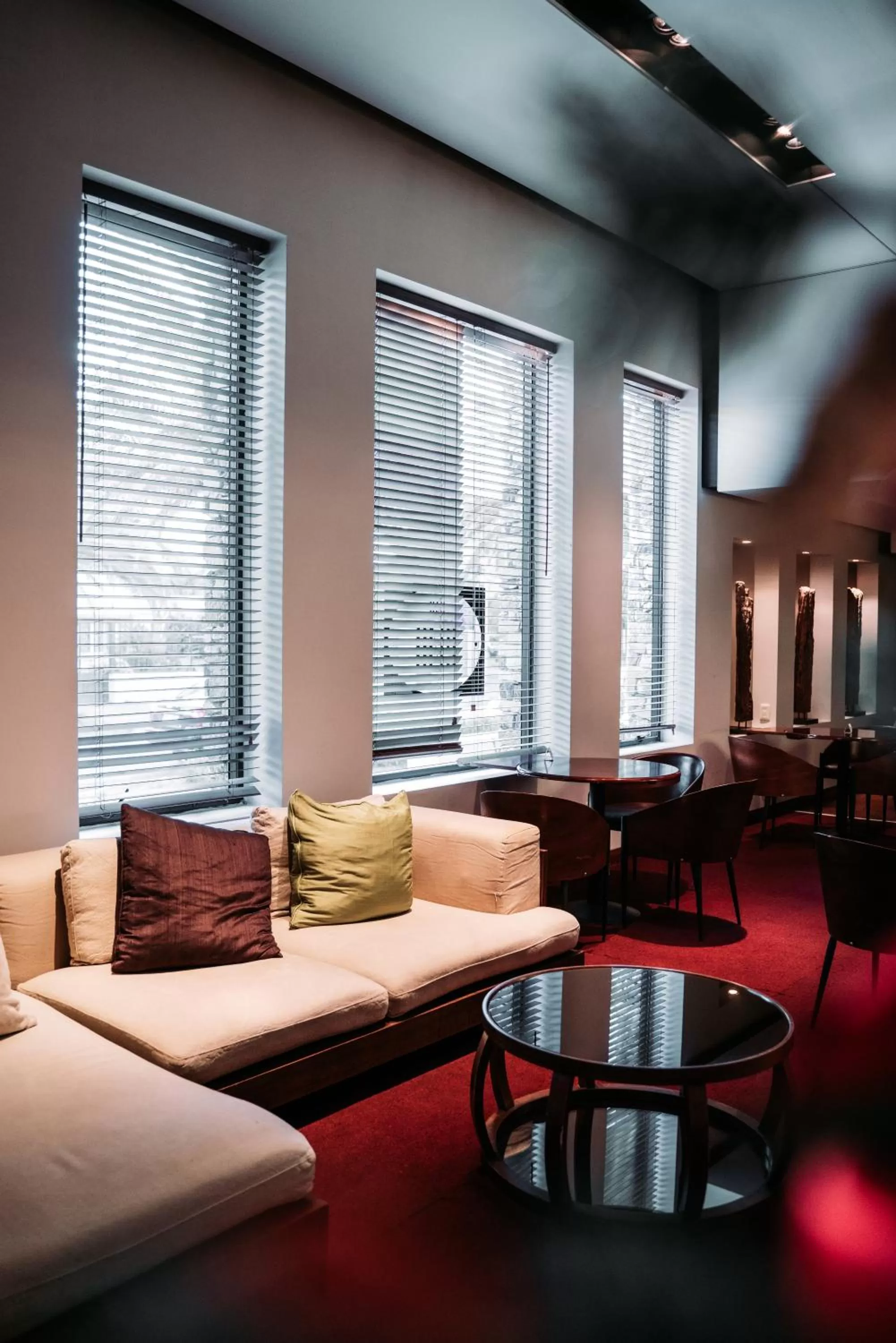 Lounge or bar in Cottage Carrasco