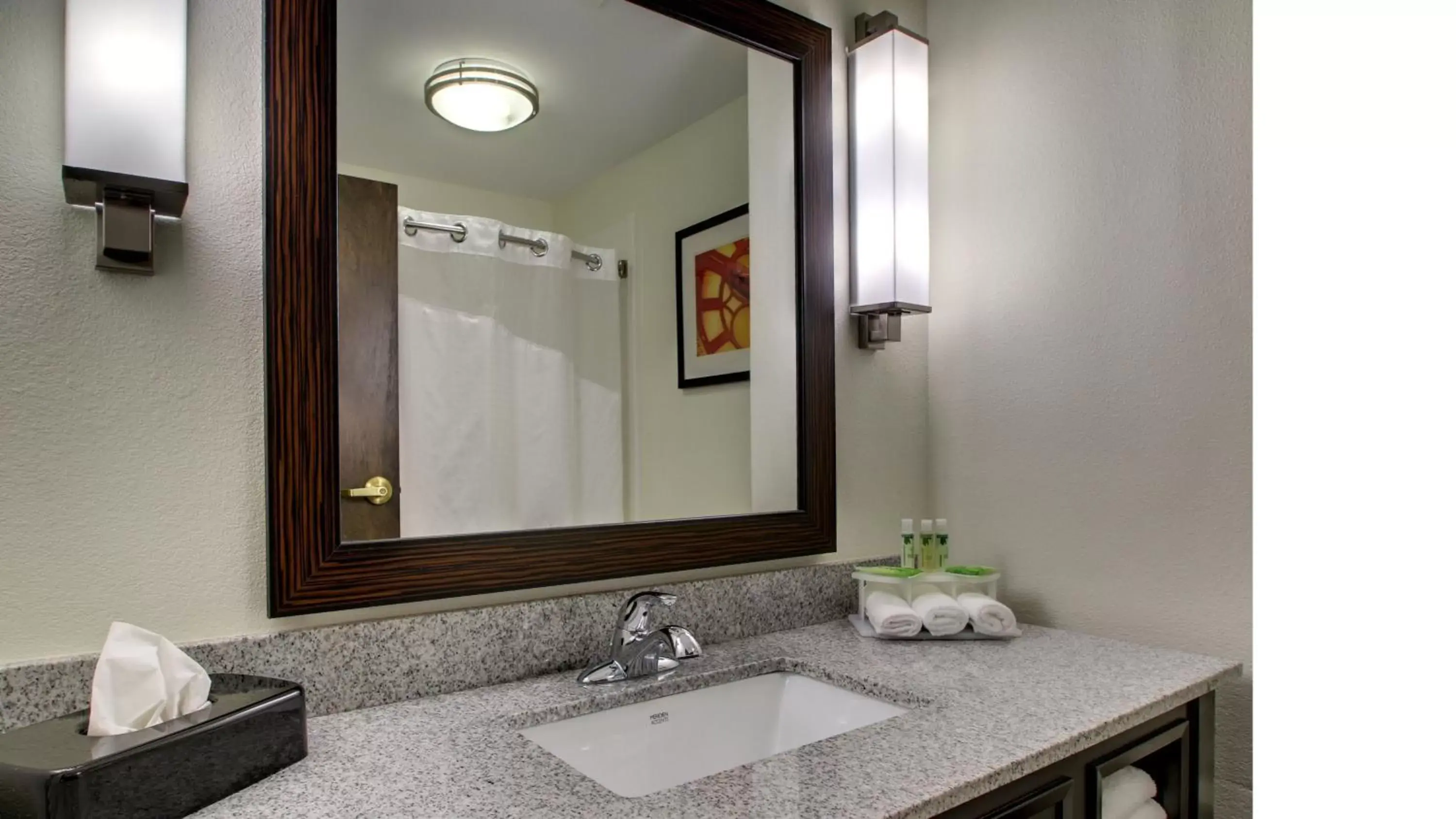 Bathroom in Holiday Inn Express Hotel & Suites Meridian, an IHG Hotel