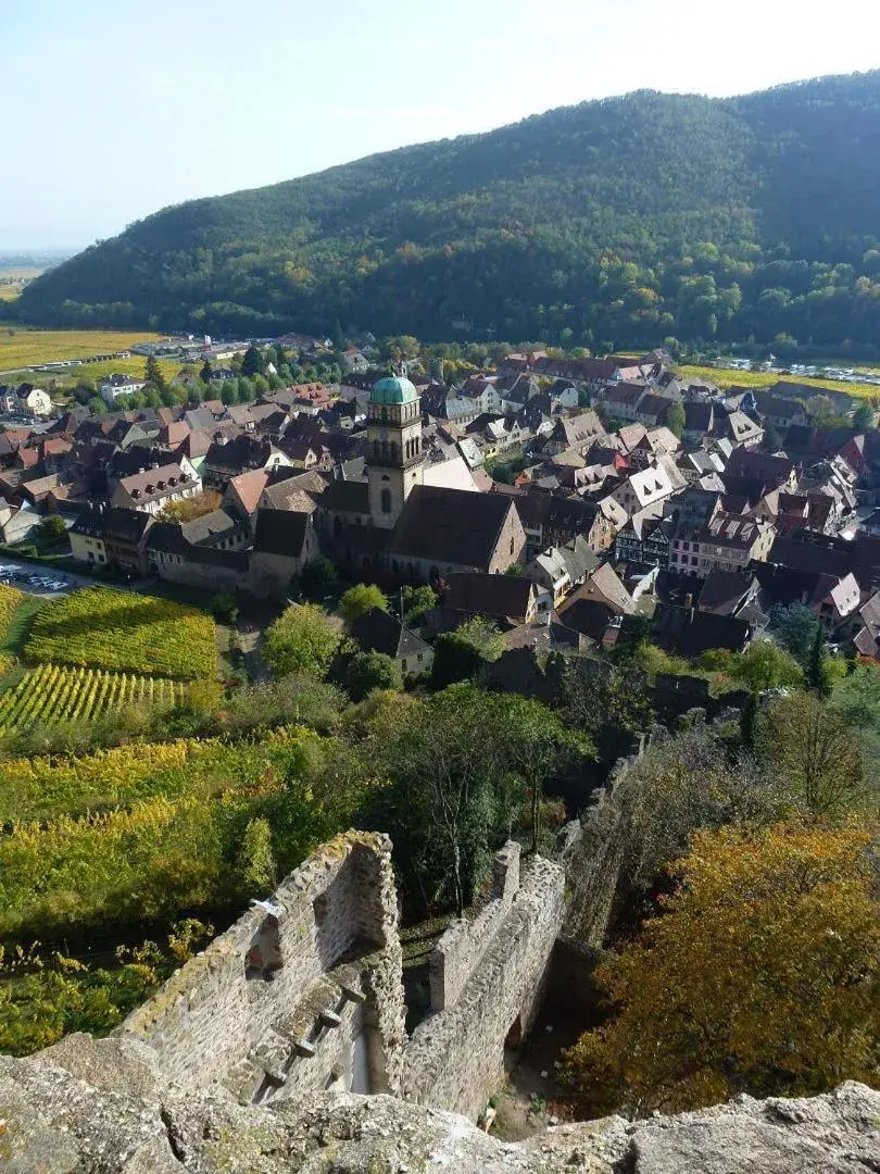 Area and facilities, Bird's-eye View in Hotel Les Remparts