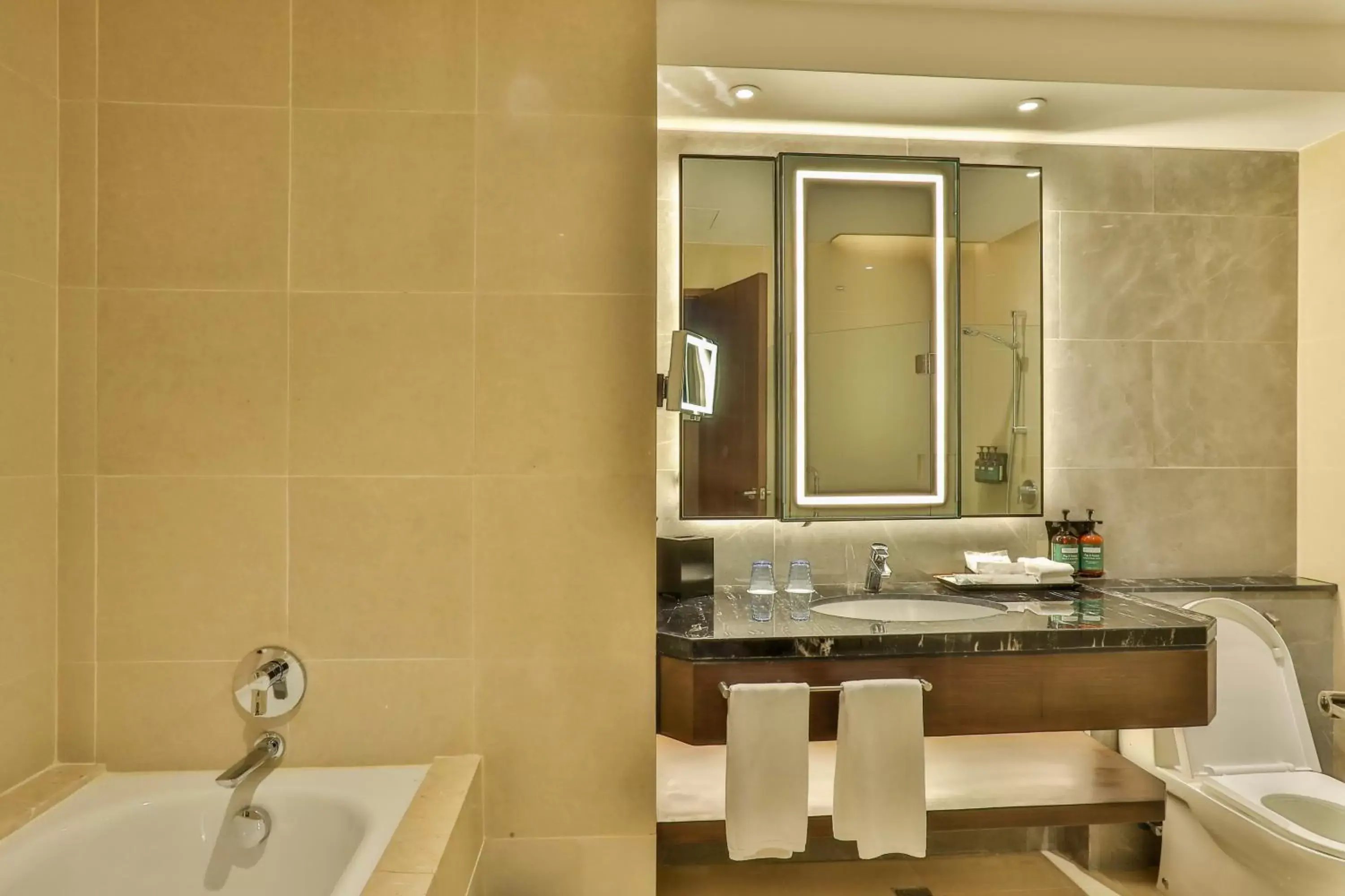 Bathroom in Crowne Plaza Manila Galleria, an IHG Hotel