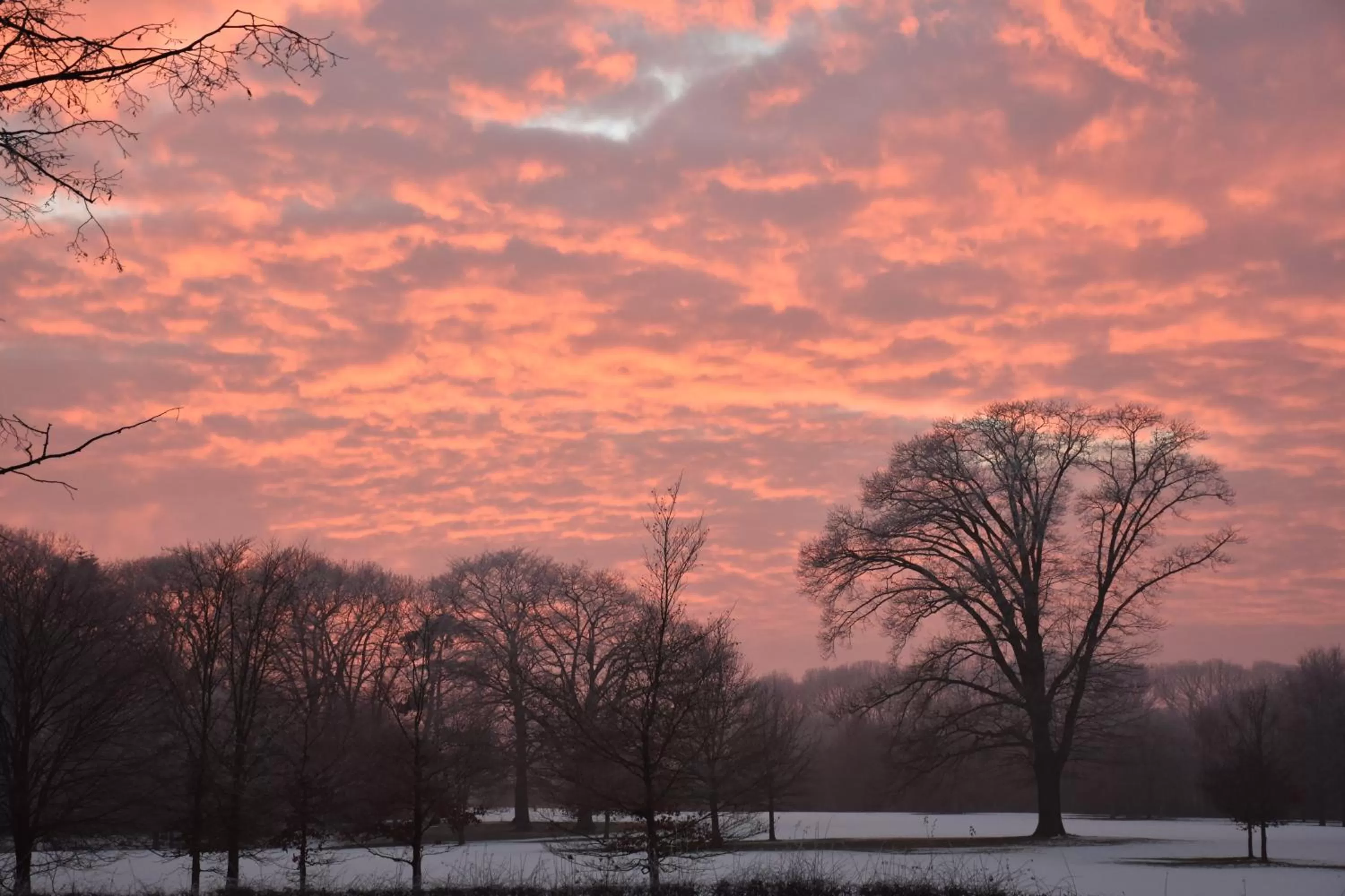 Natural landscape, Sunrise/Sunset in Boutique B&B Hoeve de Haar