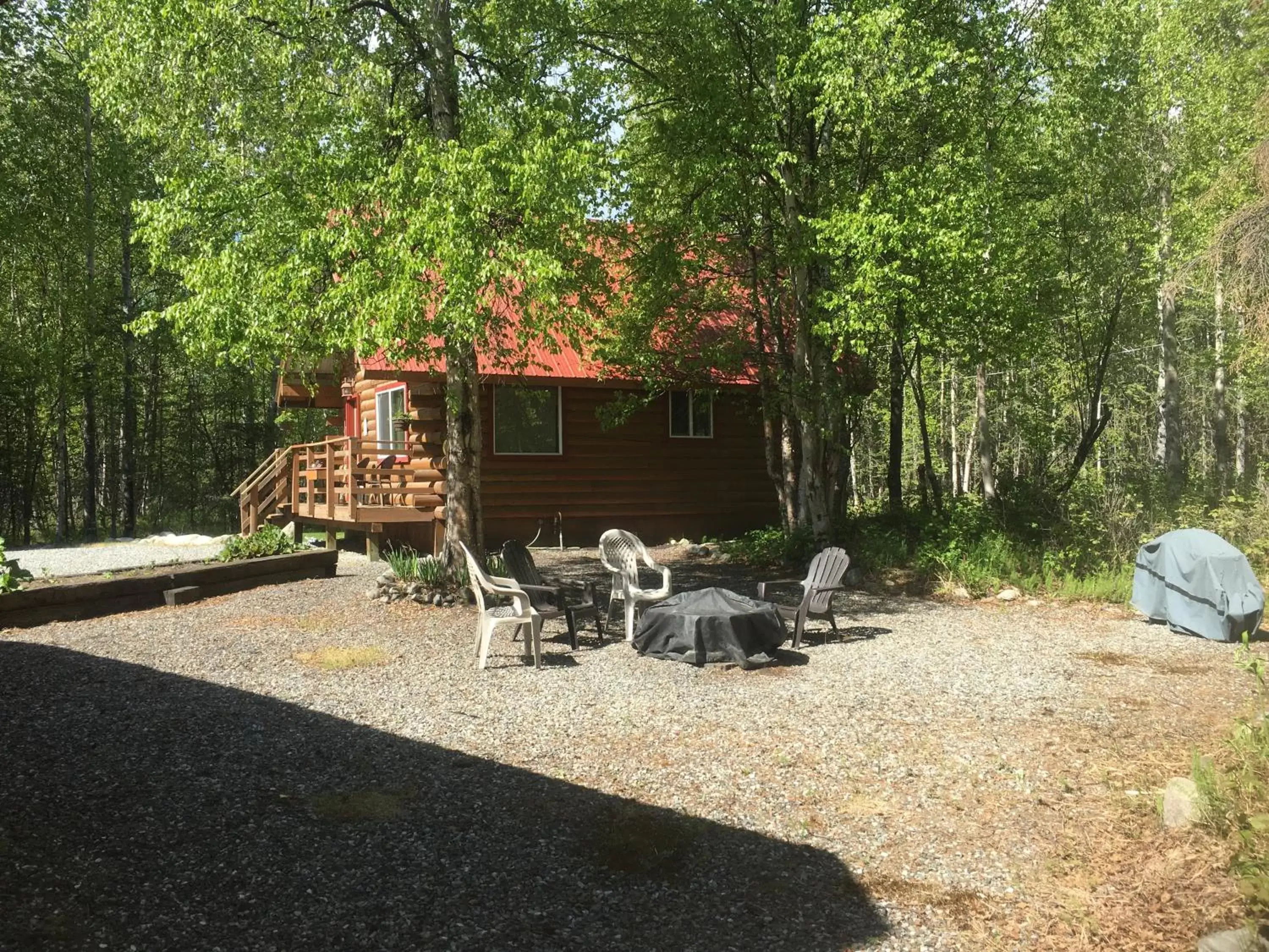 Other Animals in Hatcher Pass Cabins