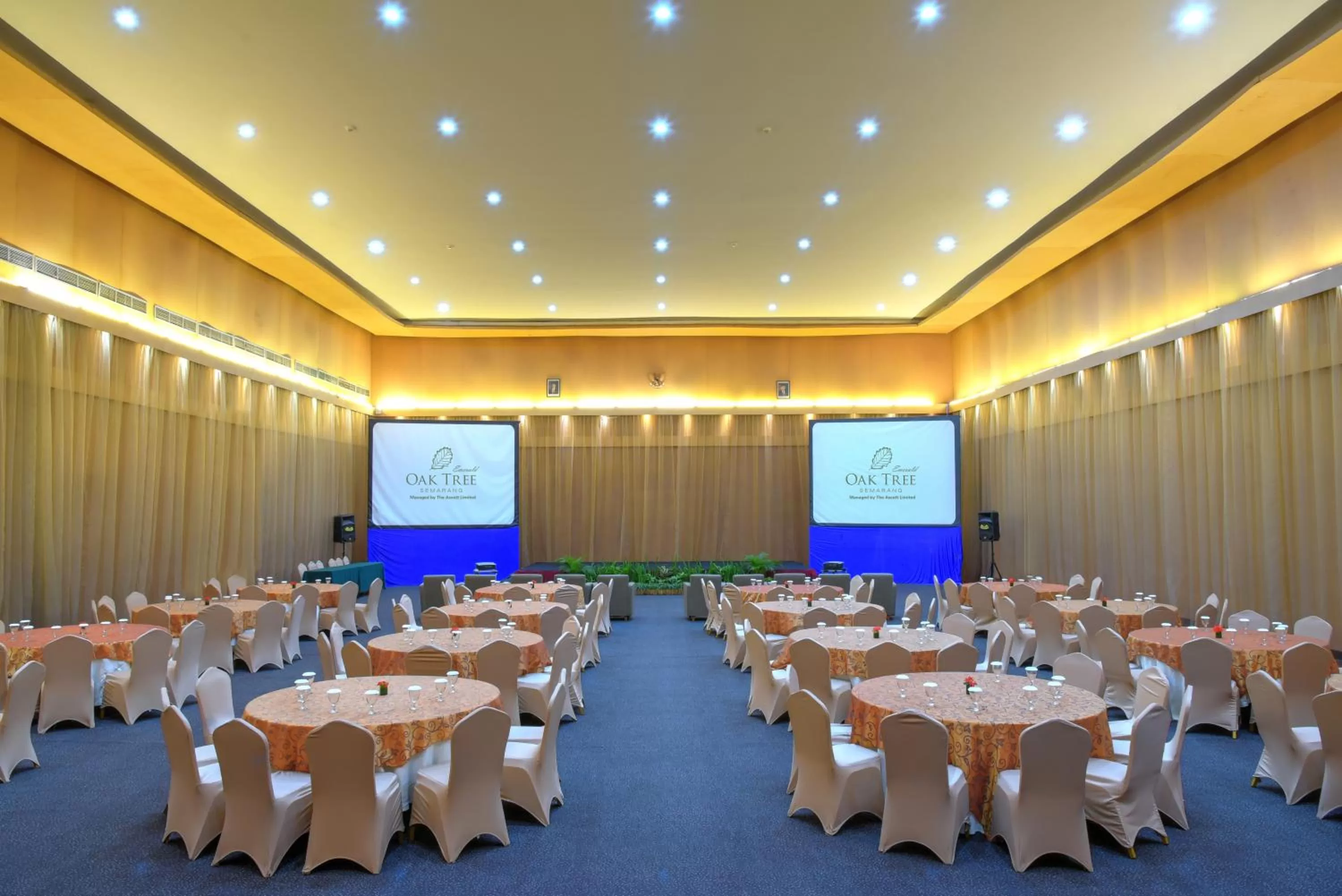 Area and facilities in Oak Tree Emerald Hotel & Coventions Semarang