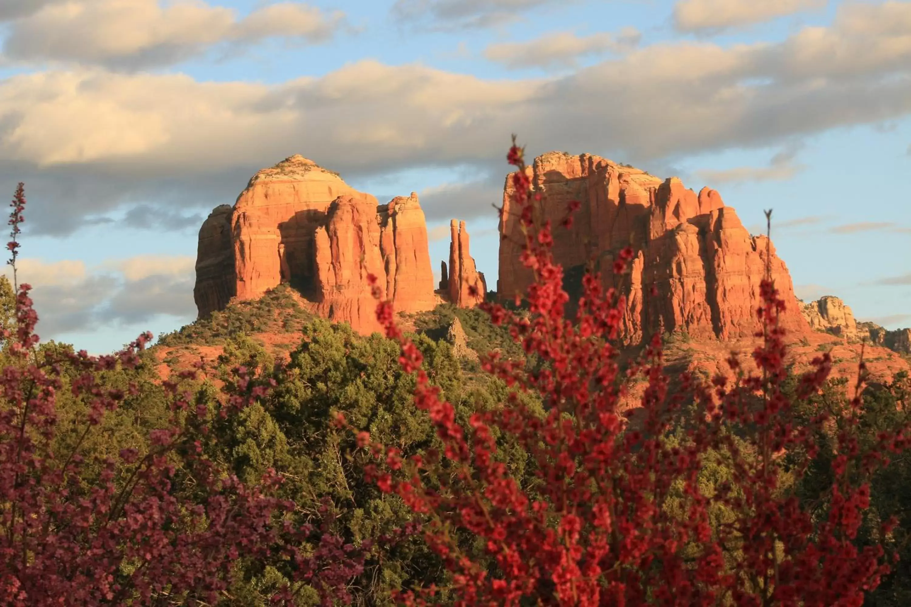 Natural Landscape in Sedona Cathedral Hideaway B&B & Spa