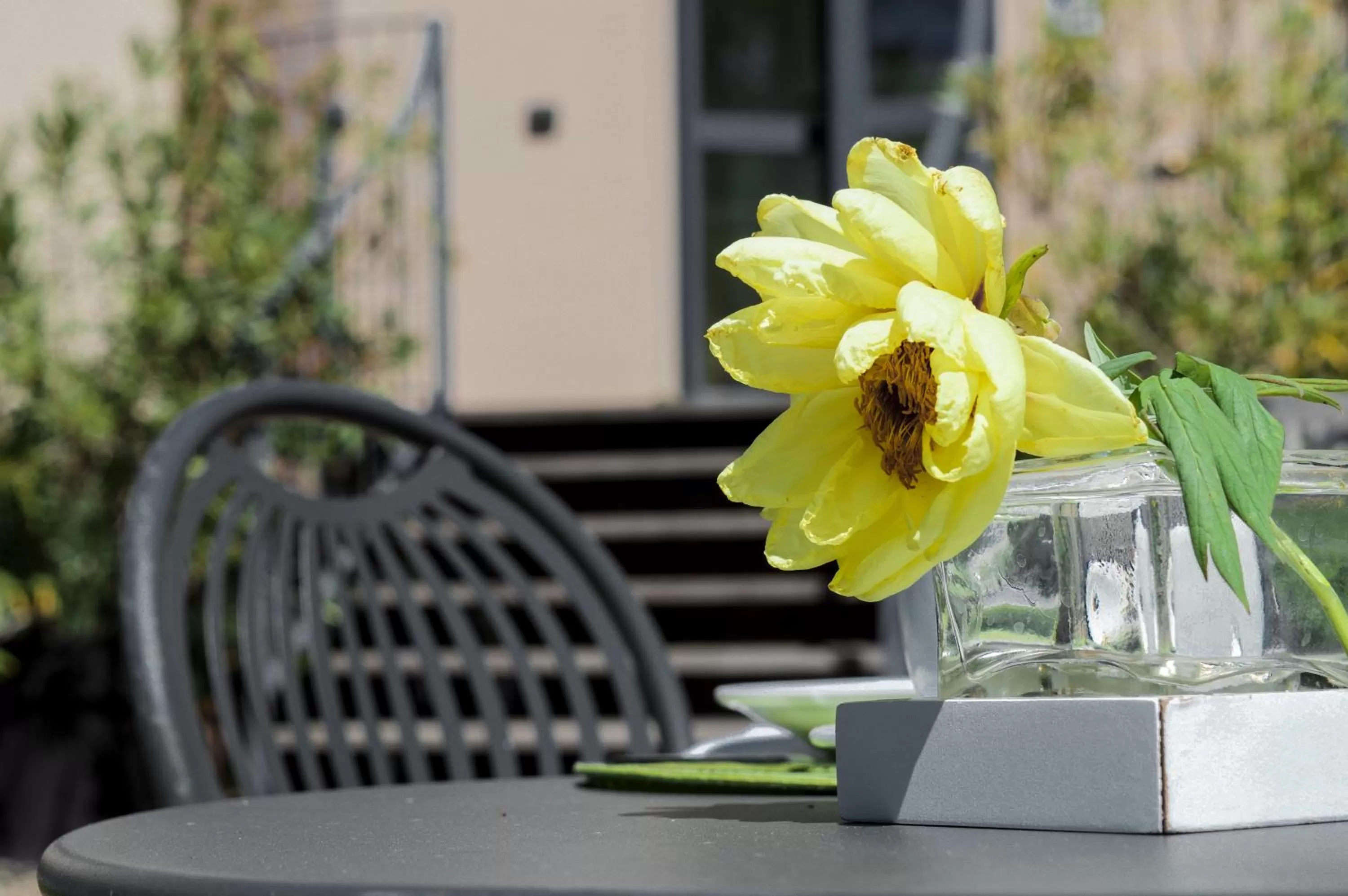 Decorative detail in Quattrocolli B&B