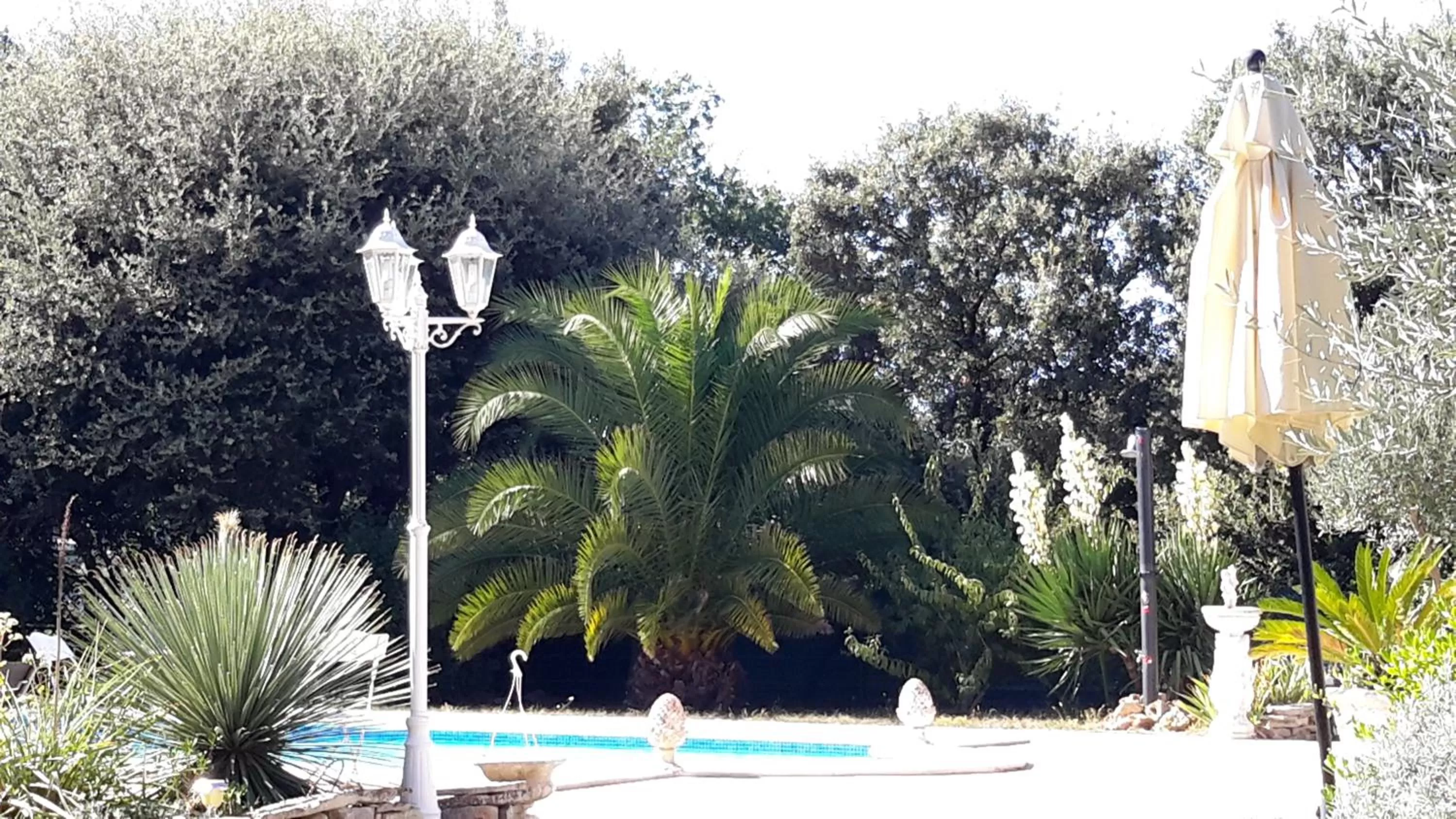 Swimming Pool in L'Abrialys