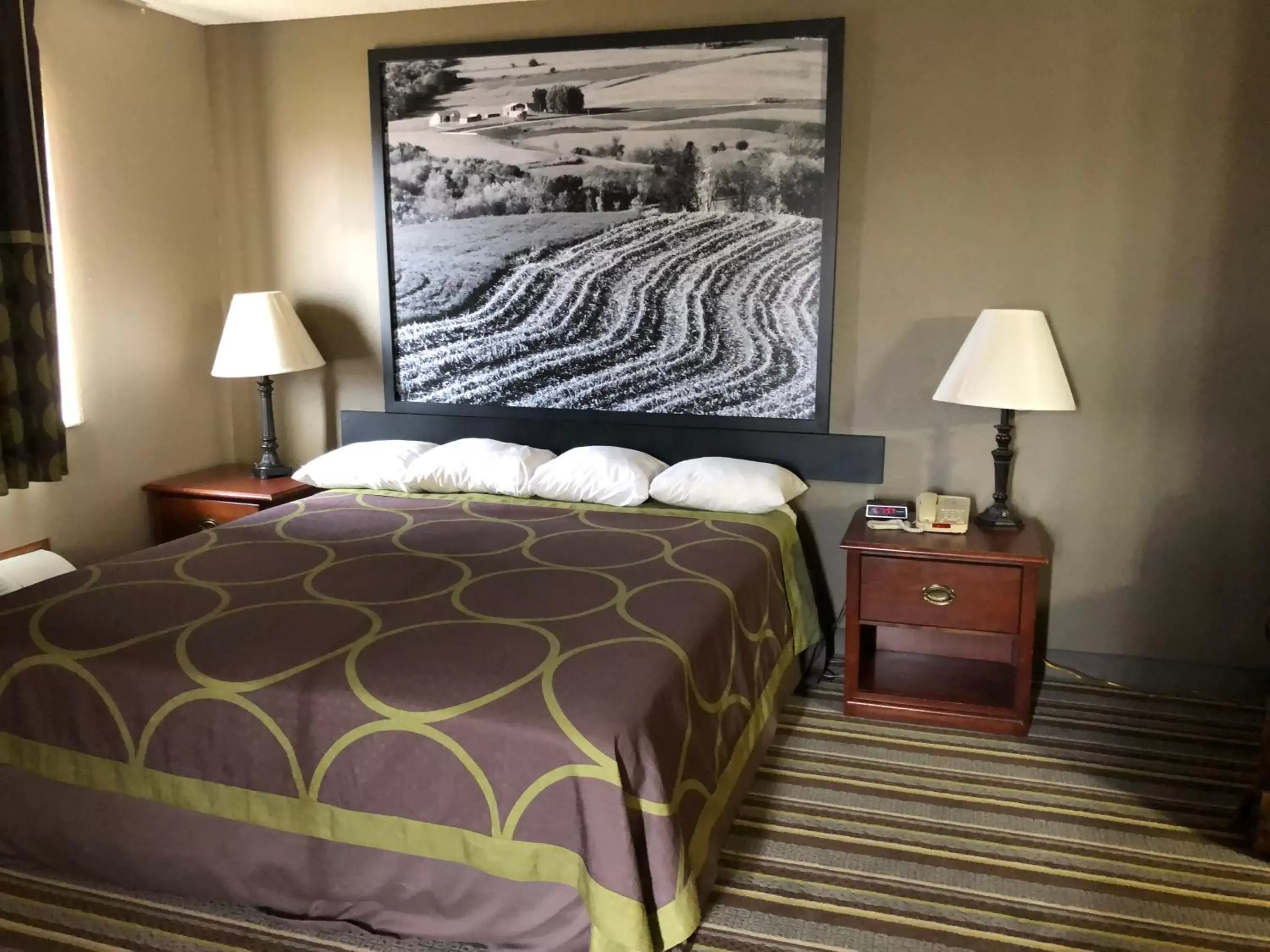 Guests, Bed in Super 8 by Wyndham Anamosa IA