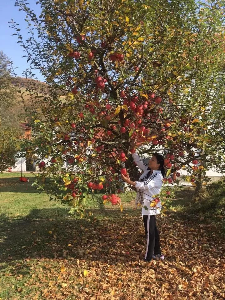 Property building in Pensiunea SilvAnka