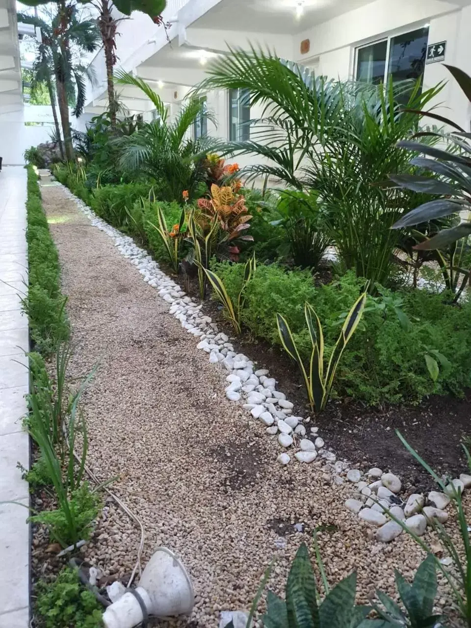 Garden in Hotel Casa Blanca