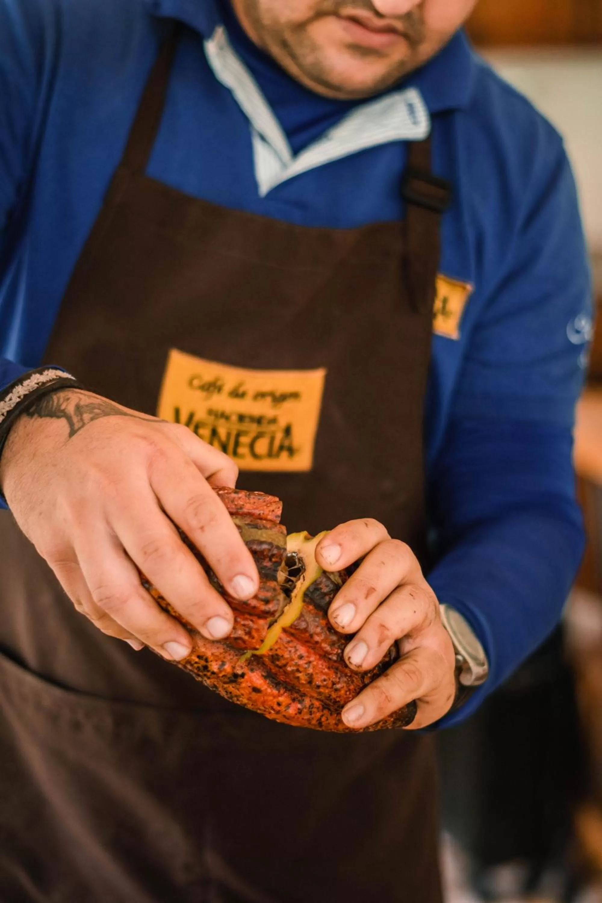 Activities in Hacienda Venecia Coffee Farm Hotel