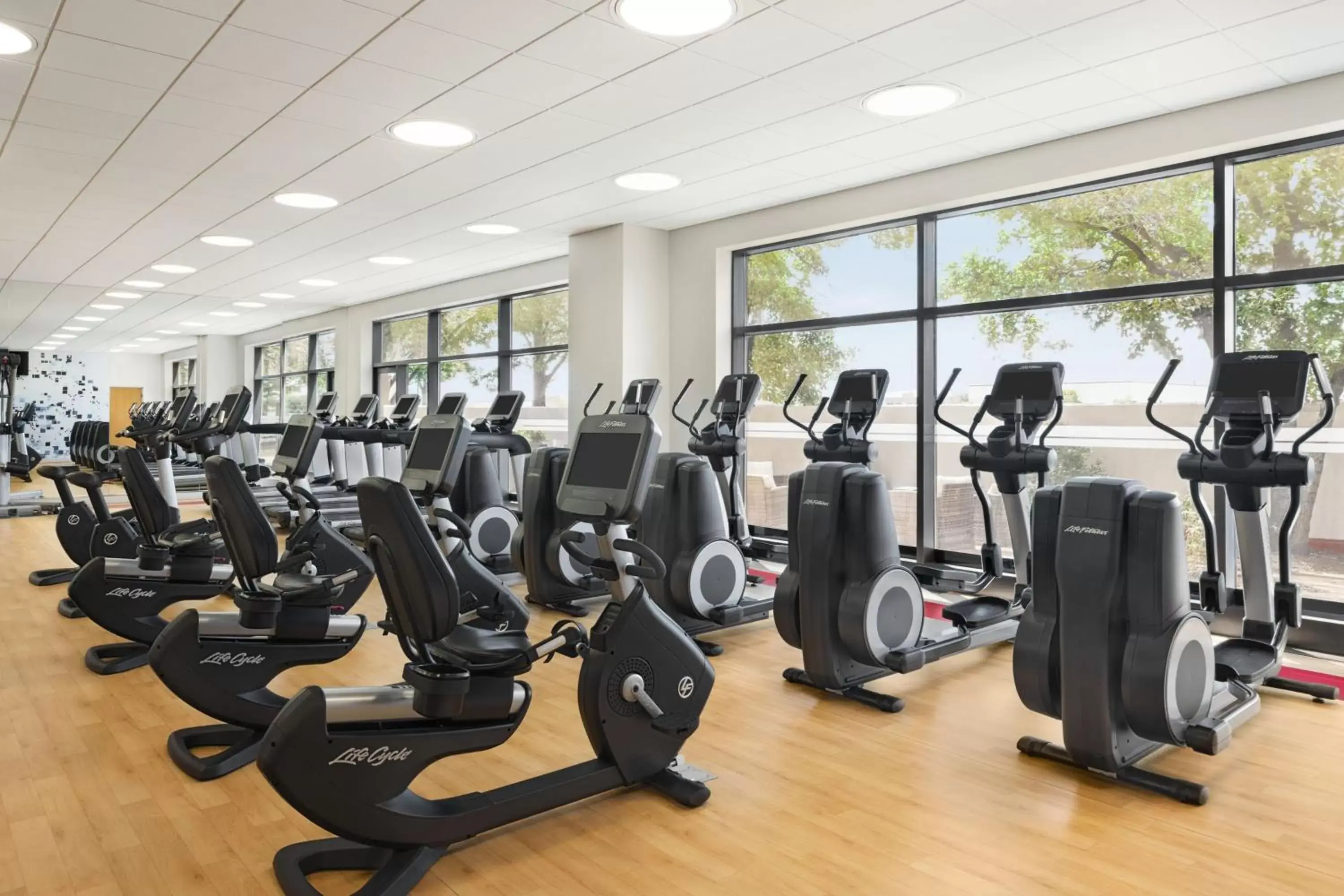 Fitness centre/facilities, Fitness Center/Facilities in Sheraton Suites Chicago O'Hare