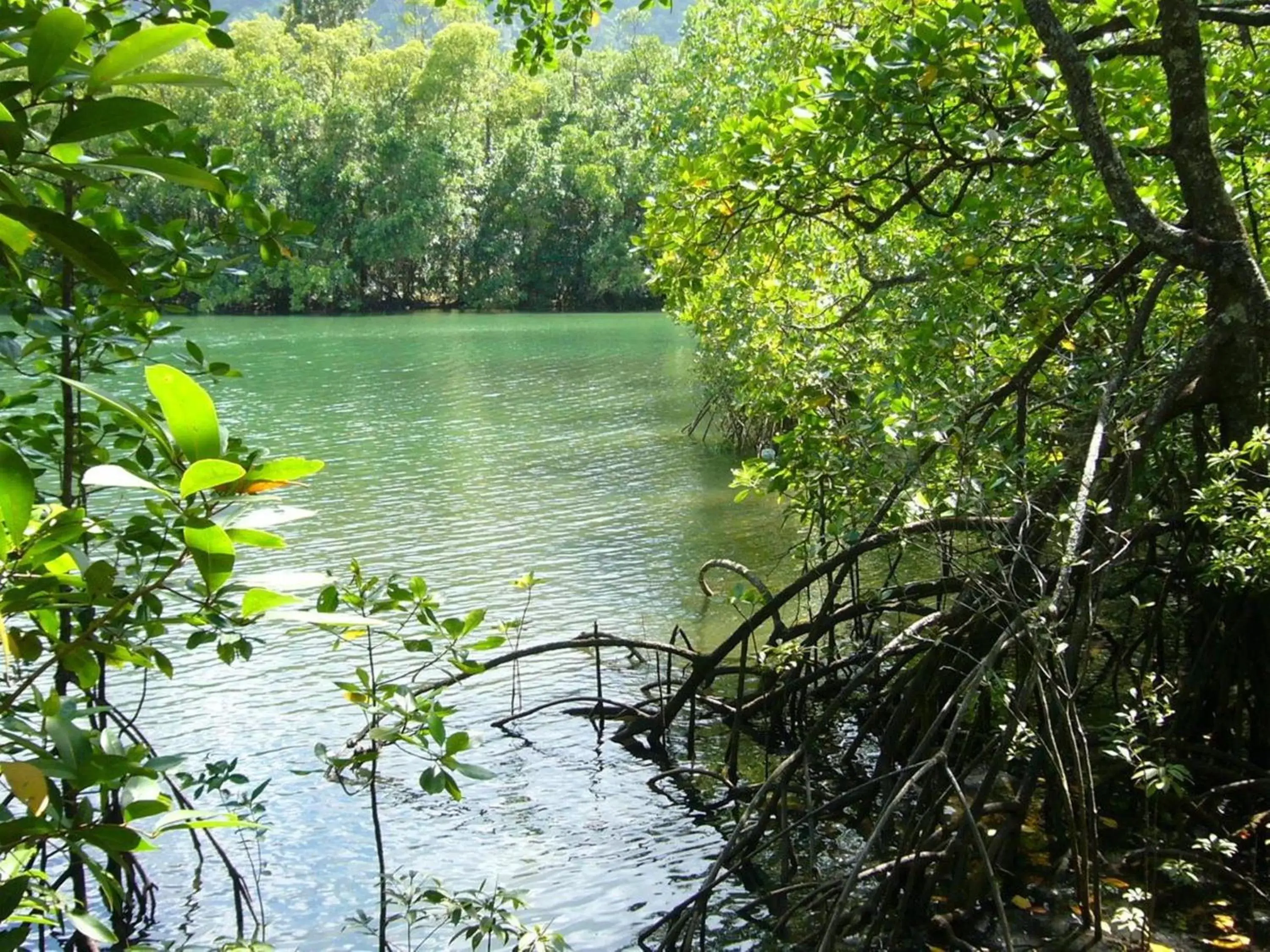 Area and facilities, River View in Port Douglas Retreat