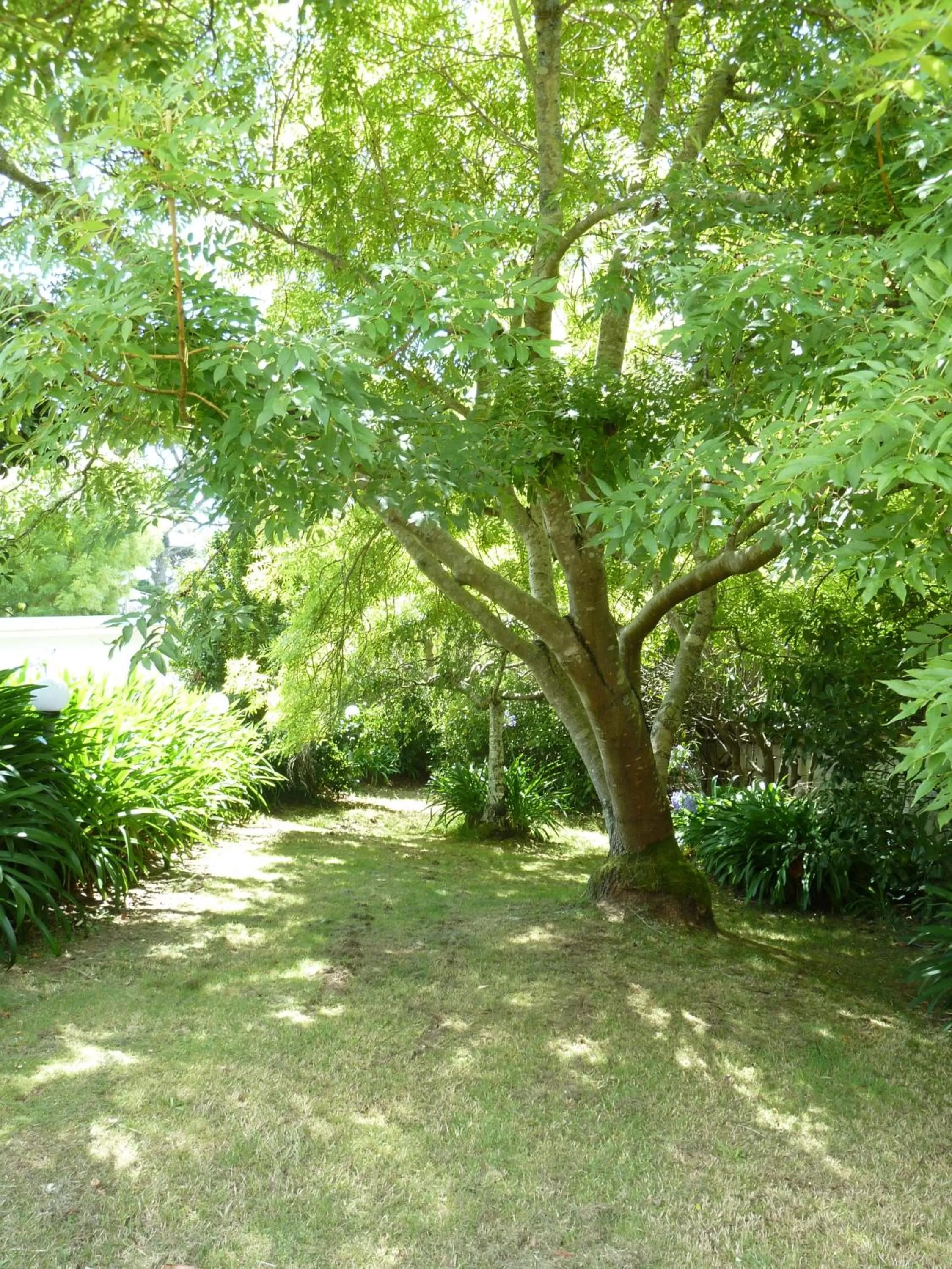 Day in Sky Rider Motor Inn