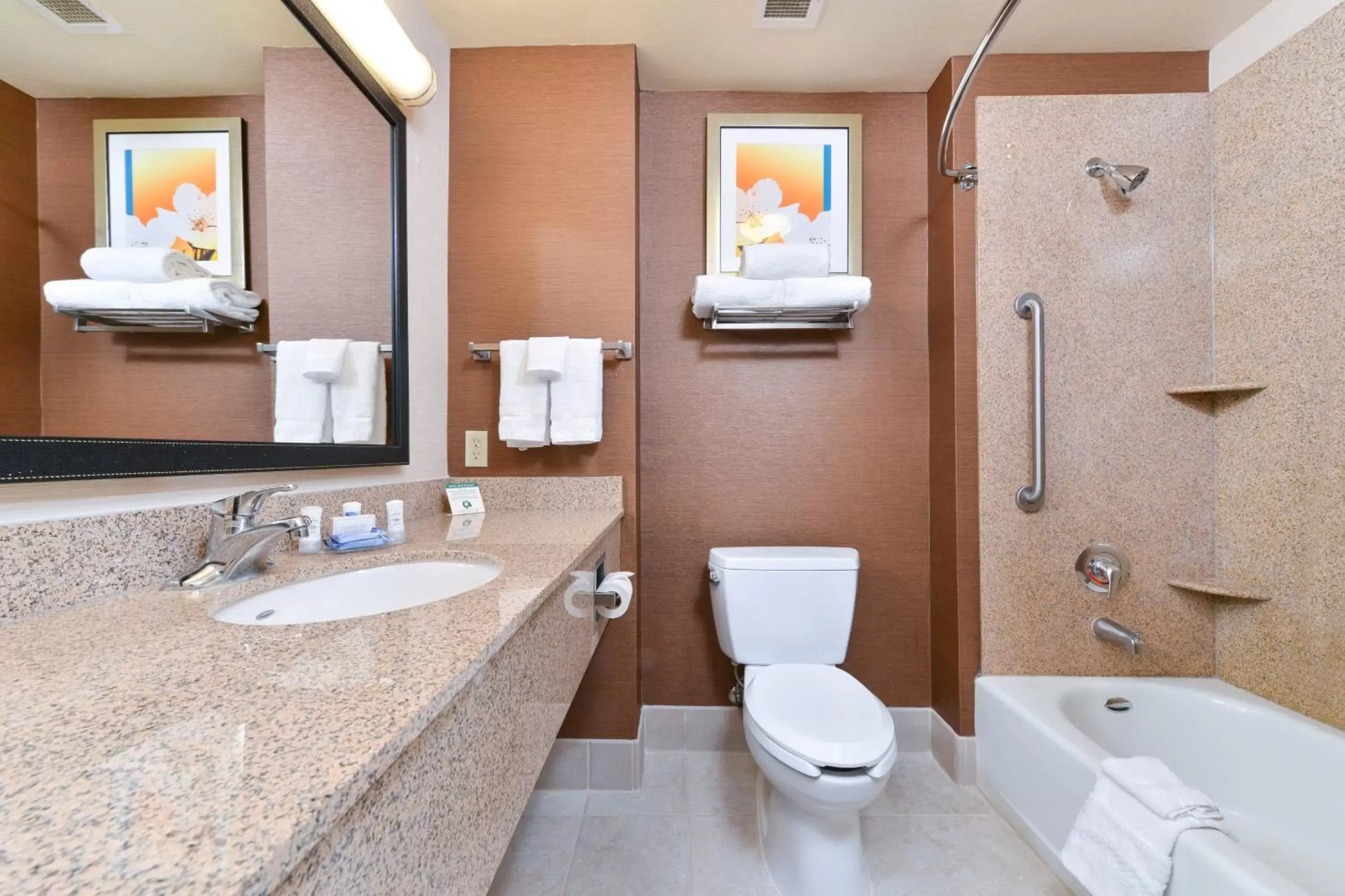 Bathroom in Fairfield Inn and Suites by Marriott Elk Grove