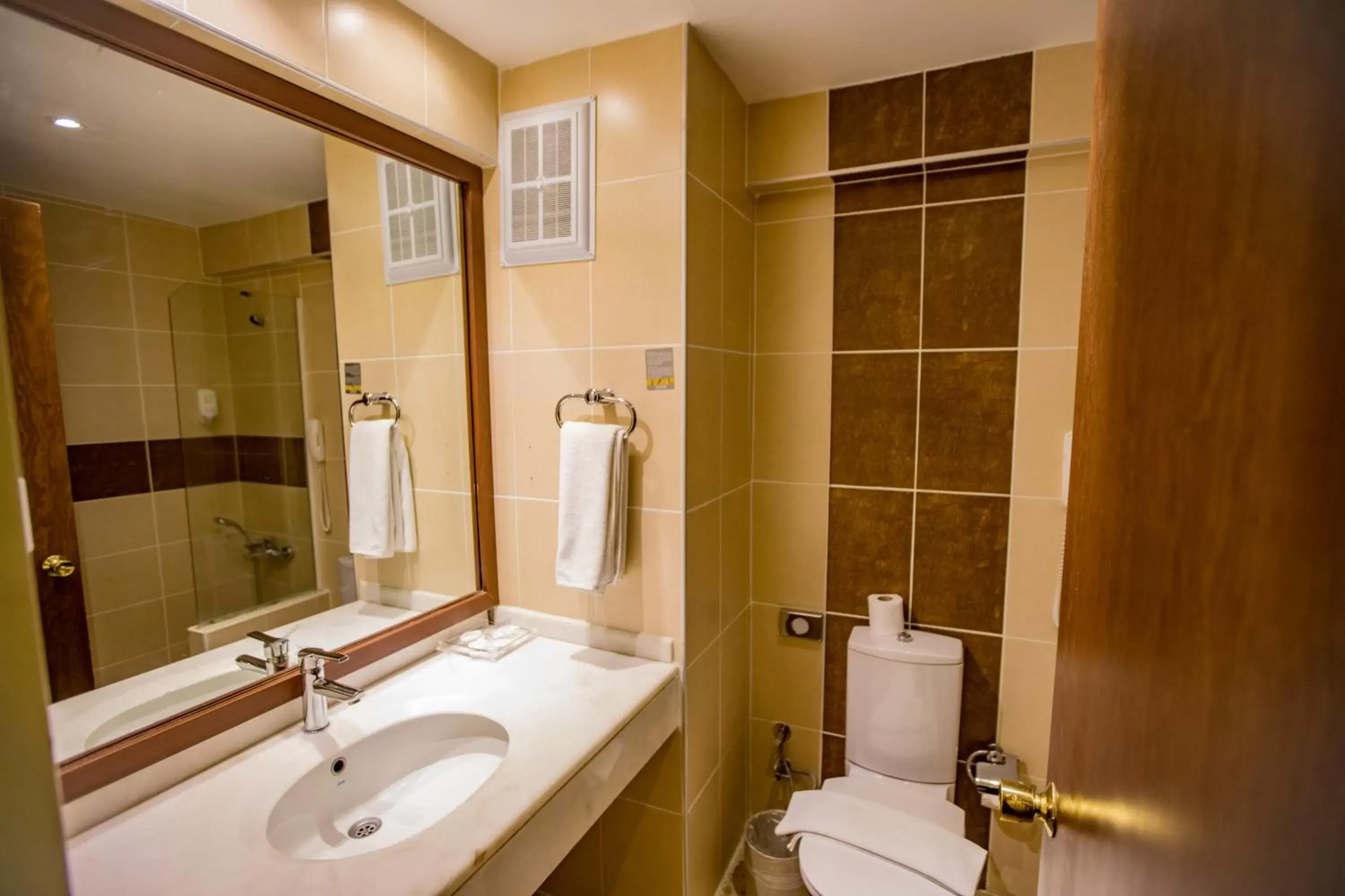 Bathroom in Dedeman Palandoken Resort Hotel