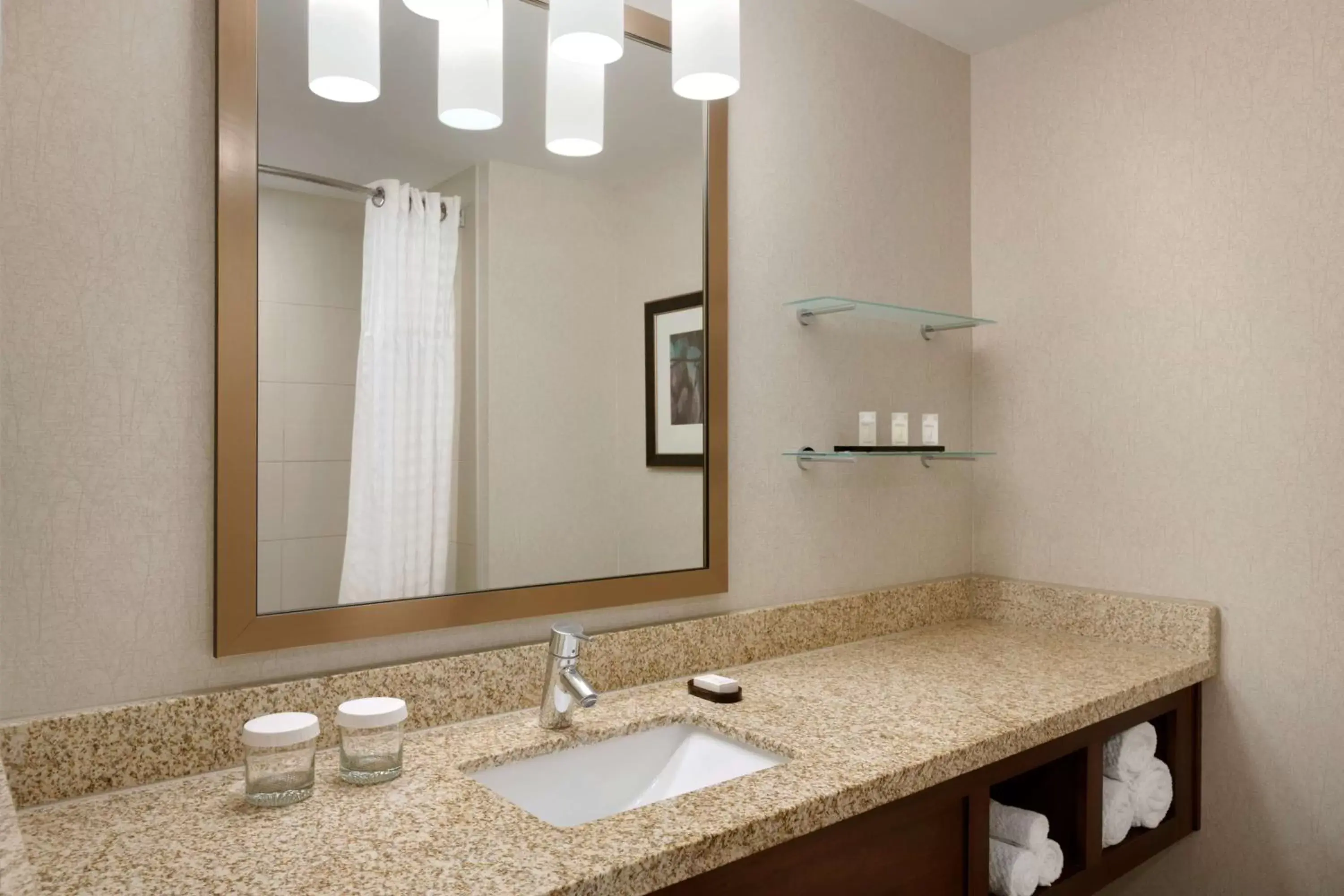 Bathroom in Embassy Suites by Hilton Denver Downtown Convention Center