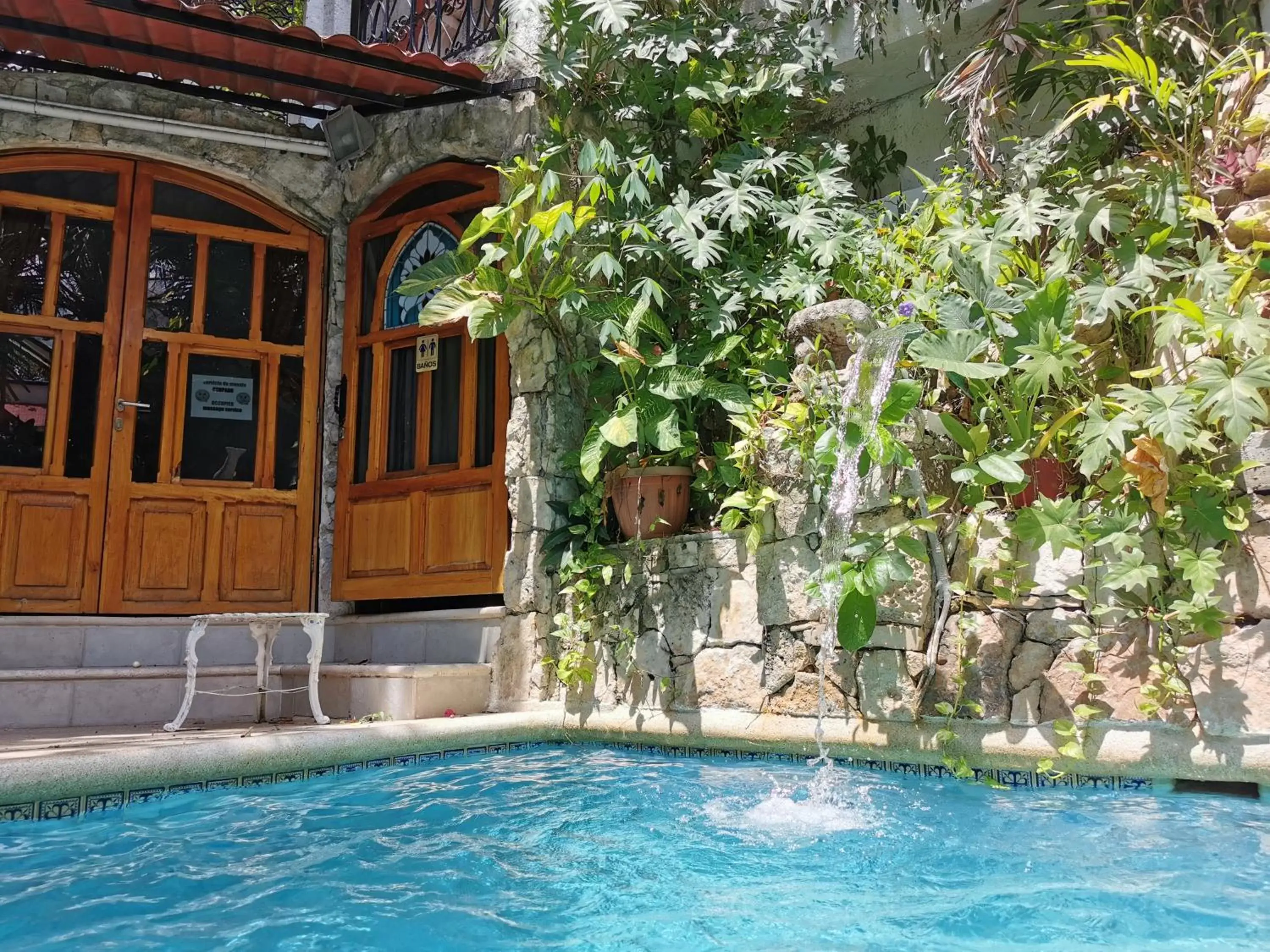 Swimming Pool in Eco-hotel El Rey del Caribe