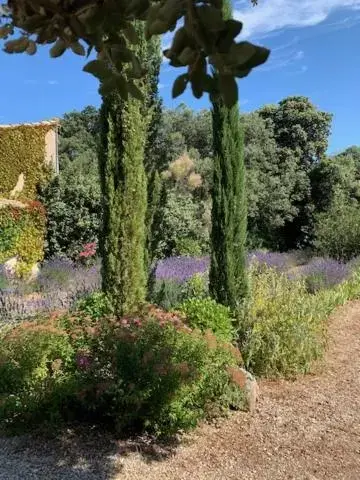 Garden in Maison Les Chênes