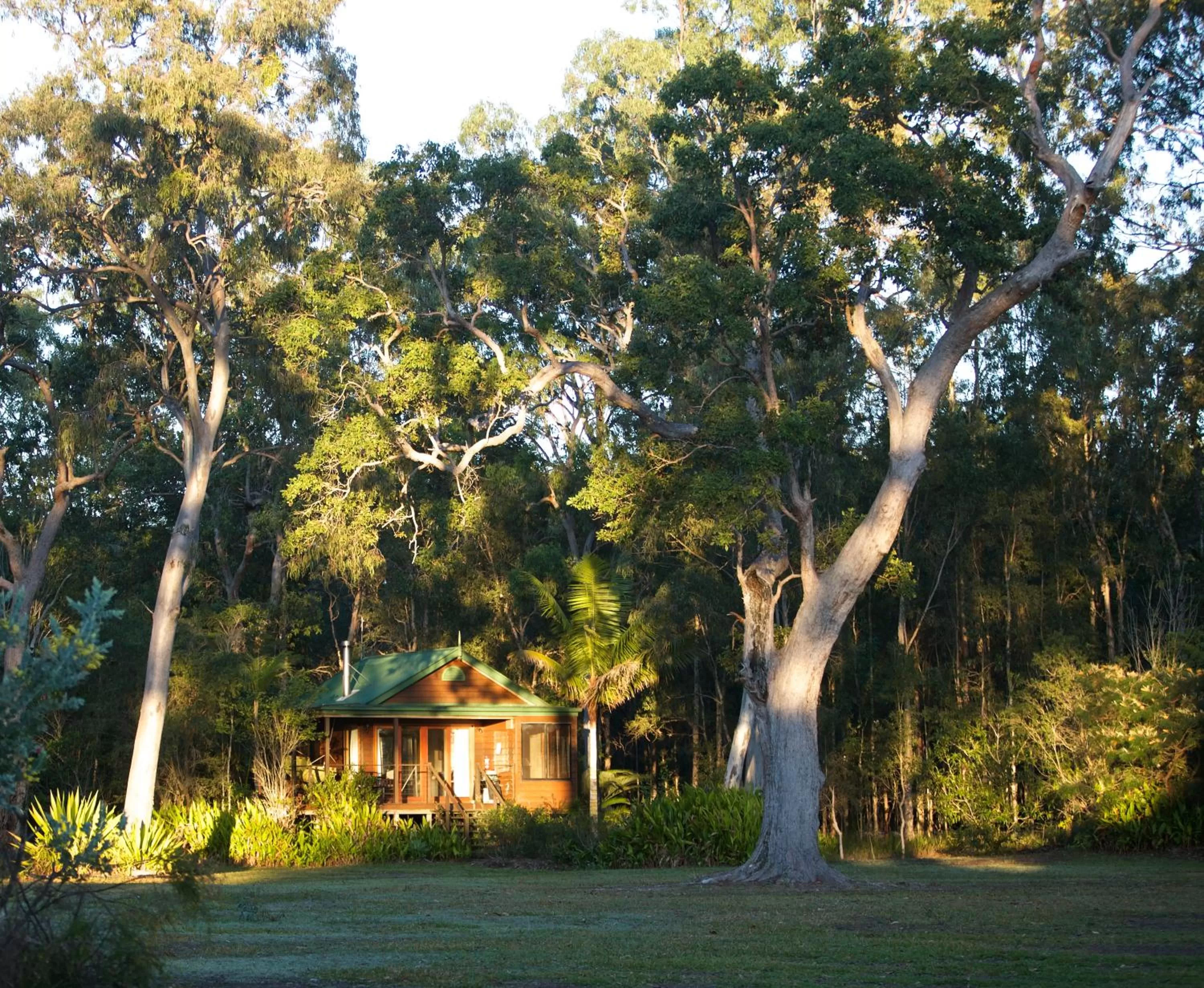 Natural landscape in Lake Weyba Cottages Noosa