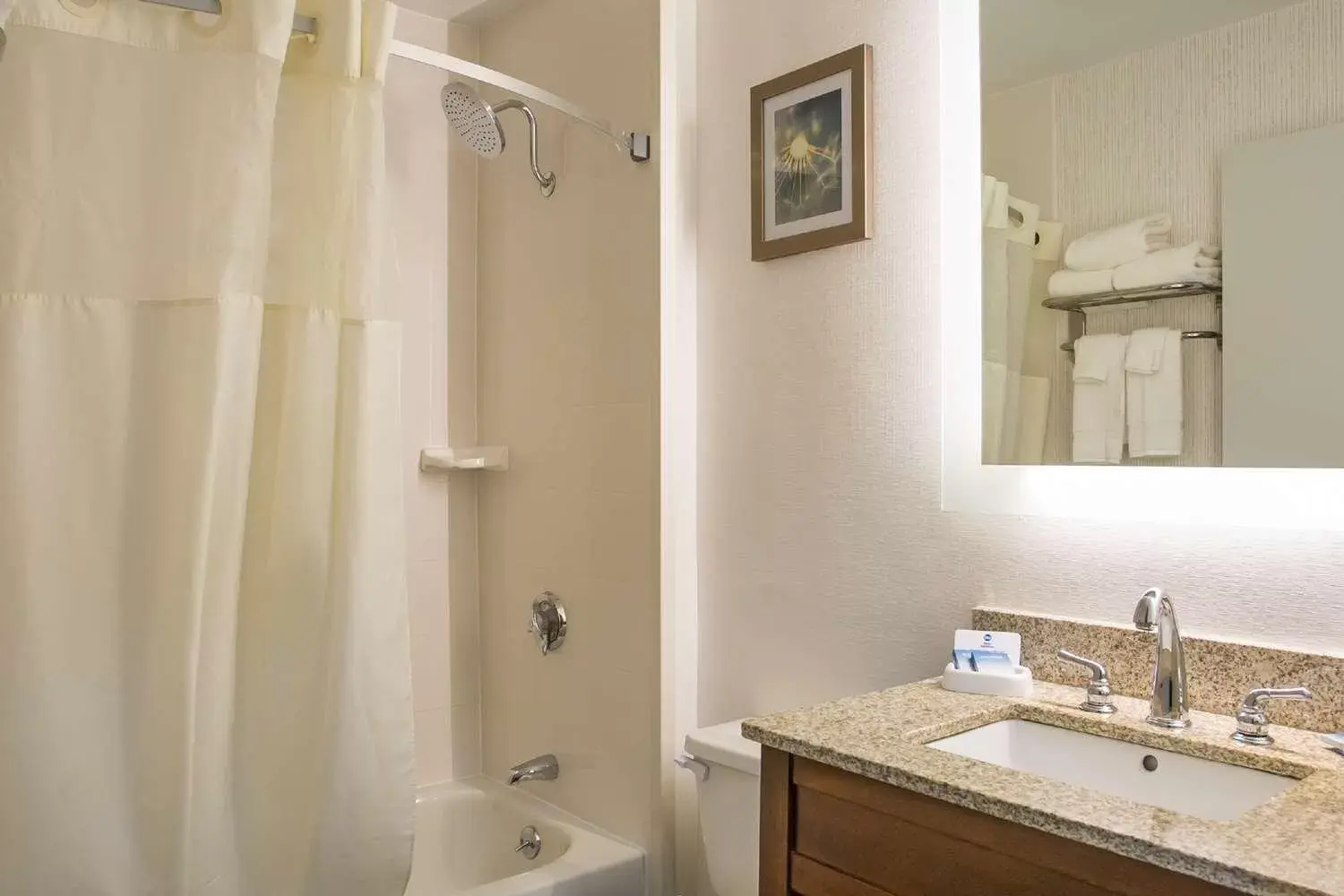 Bathroom in Best Western Milford Inn