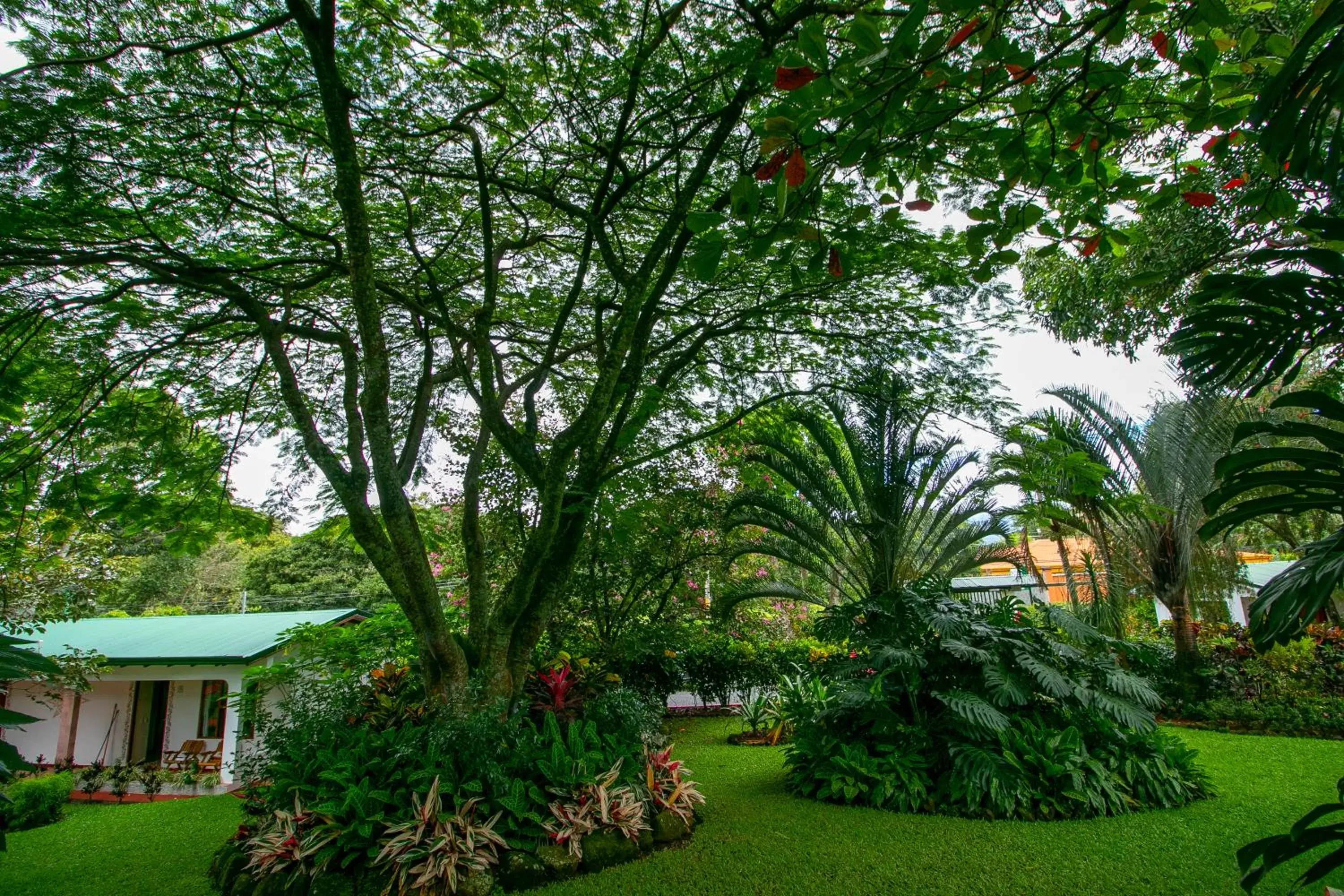 Garden, Property Building in Hotel La Rosa de America