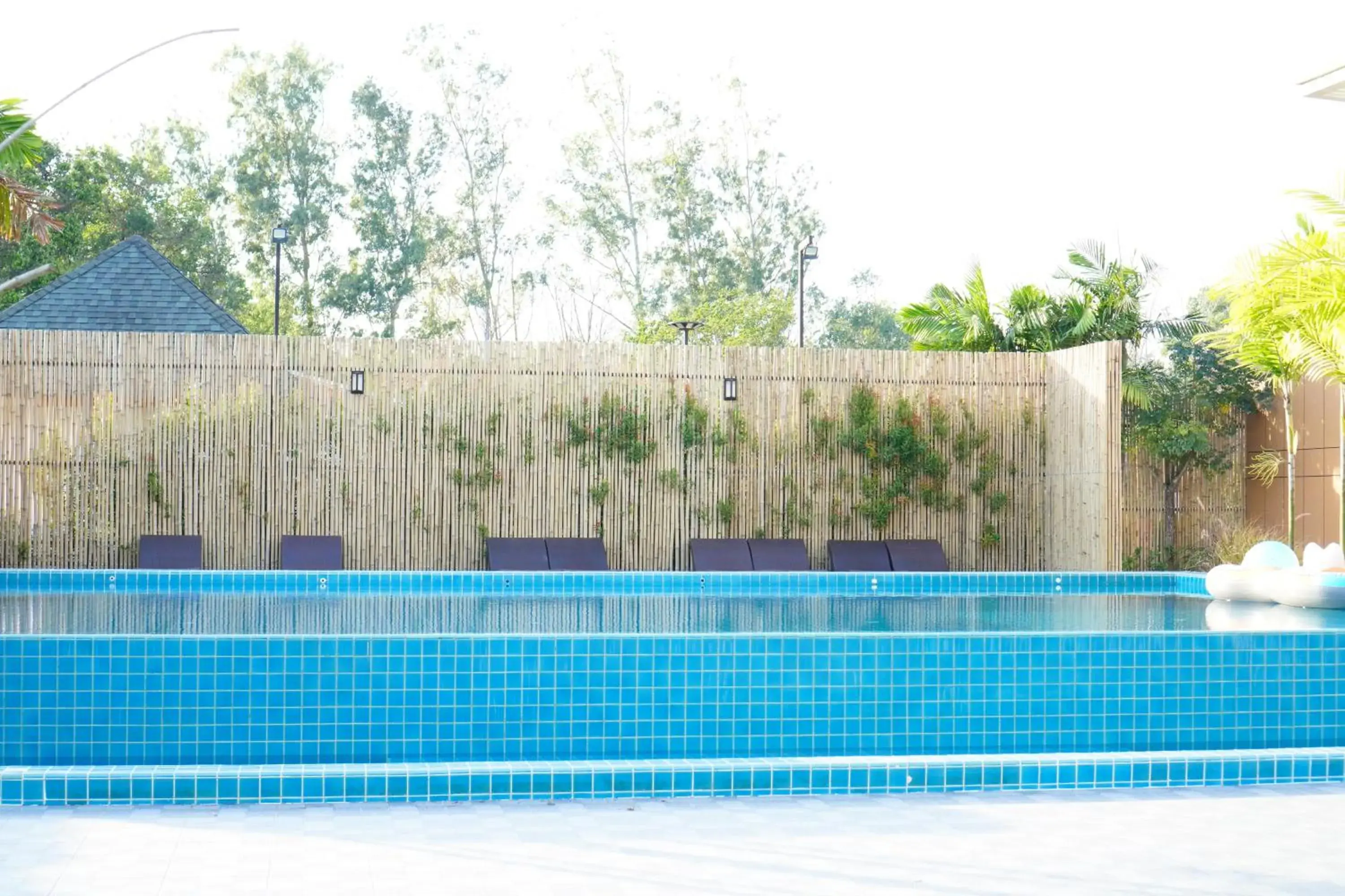 Pool view, Swimming Pool in Green Terrace Resort & Restaurant