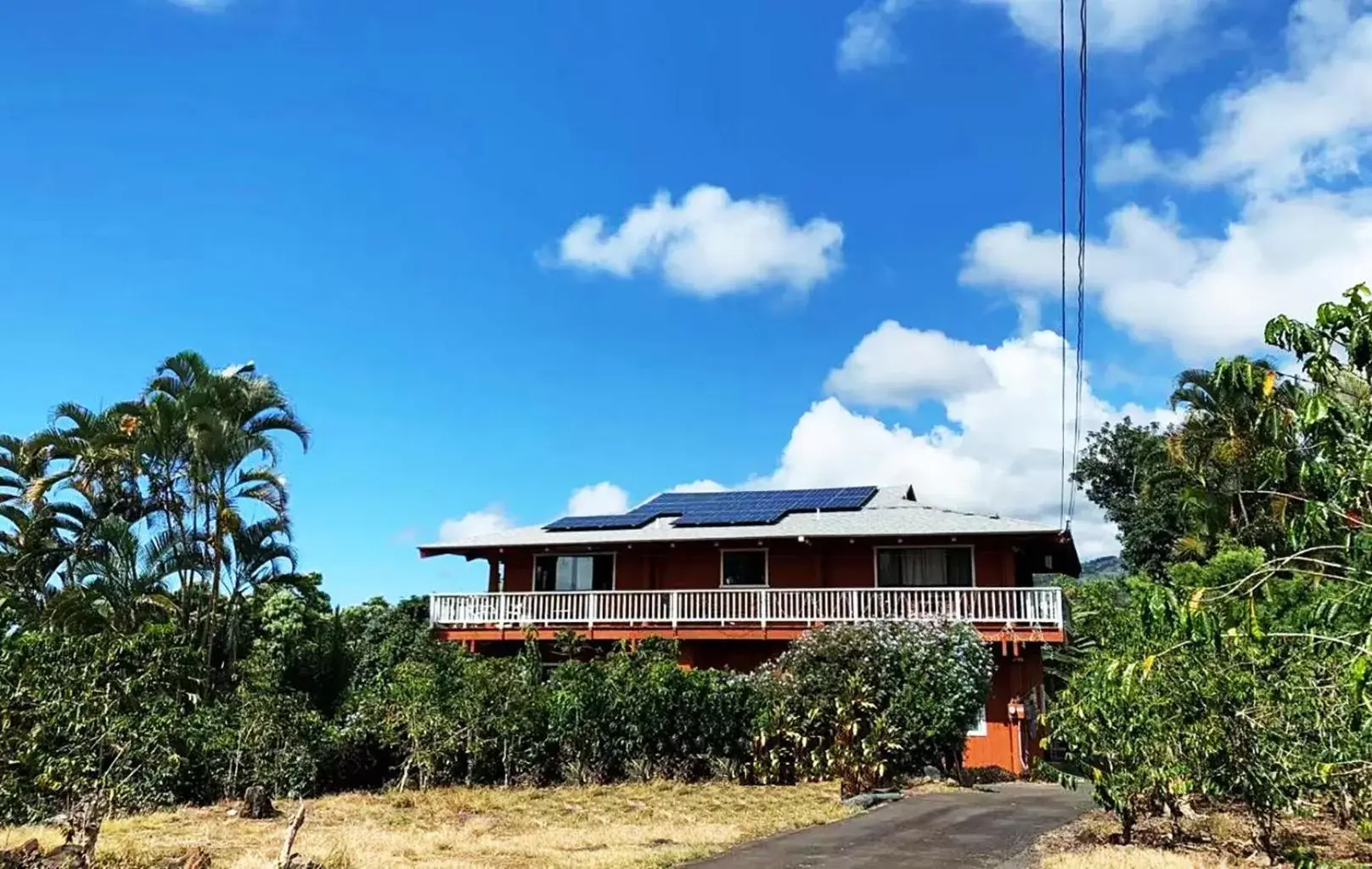 Property Building in Coffee Garden