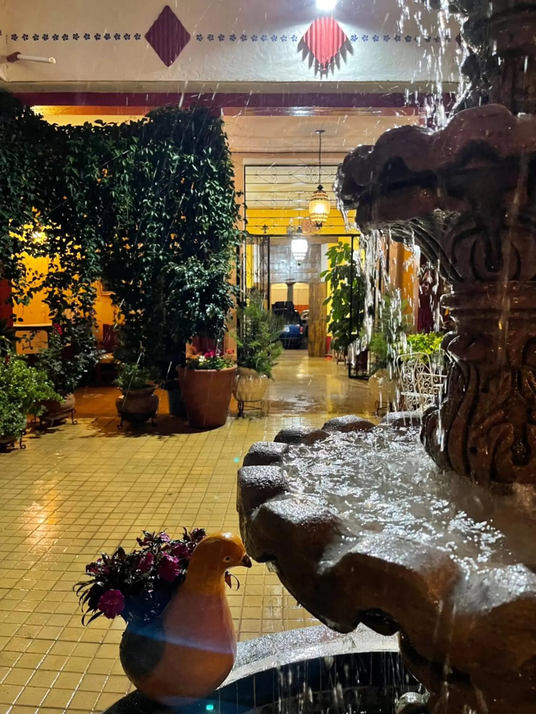 Garden in Copa de Oro Hotel Boutique
