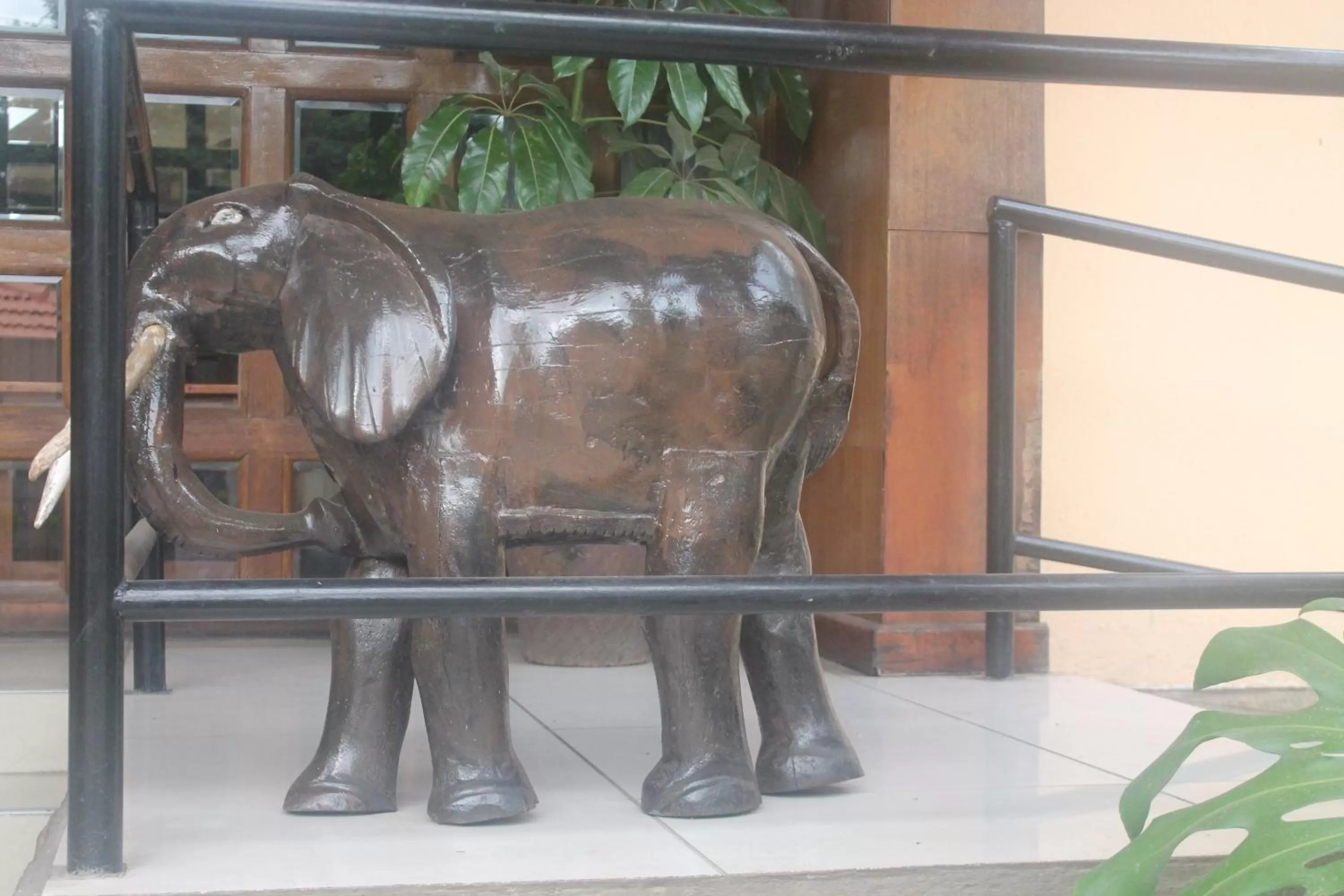 Other Animals in Vienna Woods Hotel Nakuru