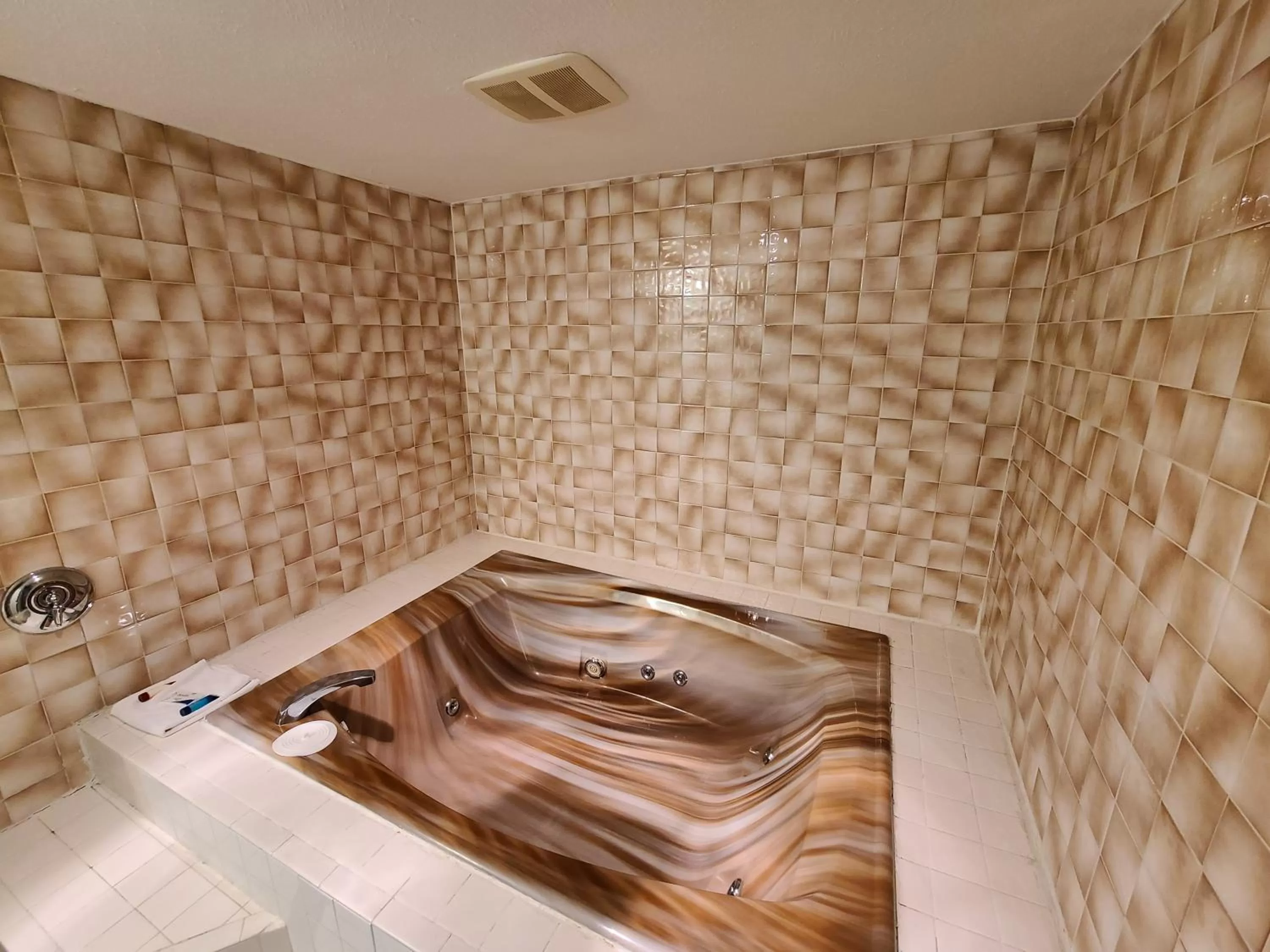 Area and facilities in Hampton Village Inn